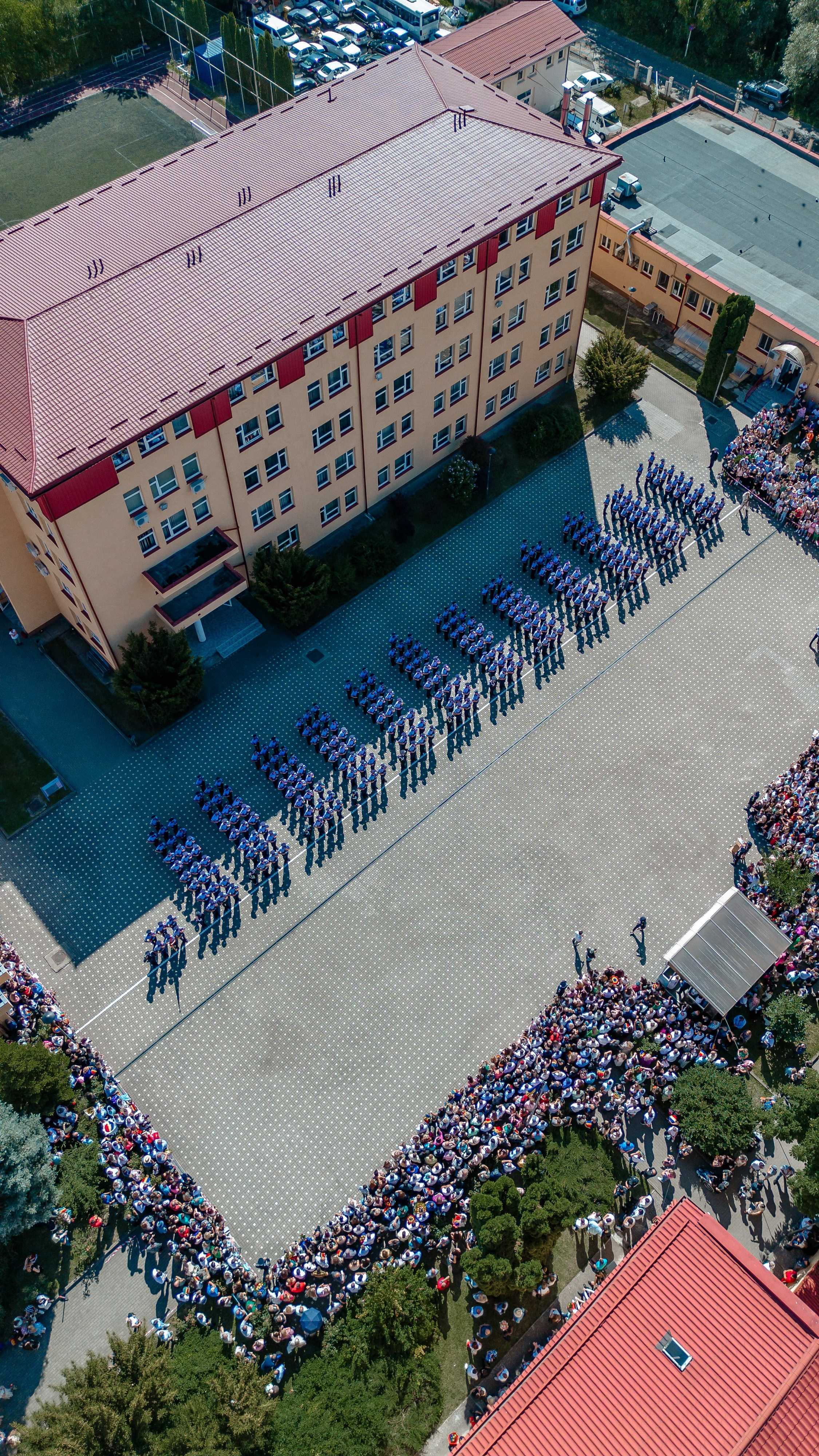 Dariussora.ro