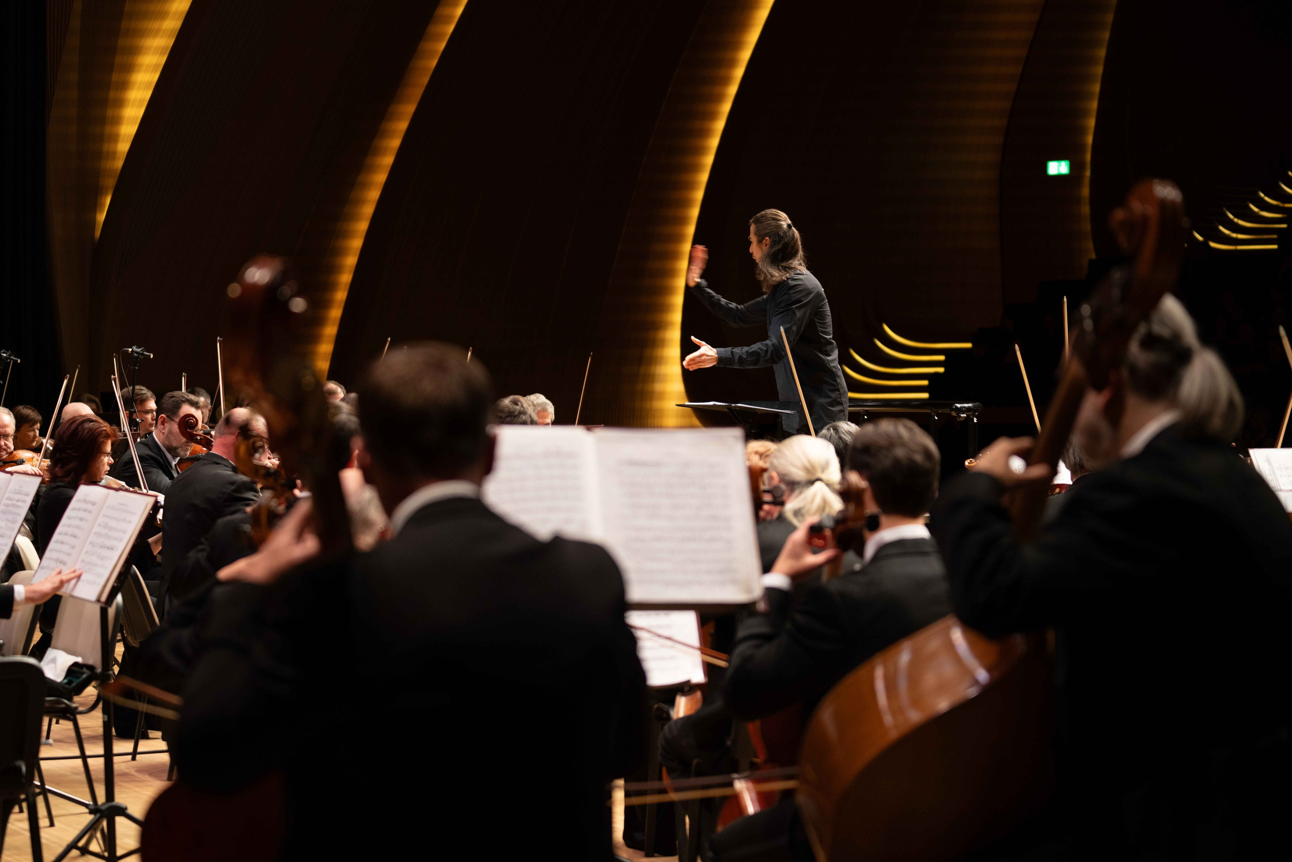 The Tchaikovsky Academic Grand Symphony Orchestra in Baku. Wedding&Event photographer Ismail Rzayev in Baku