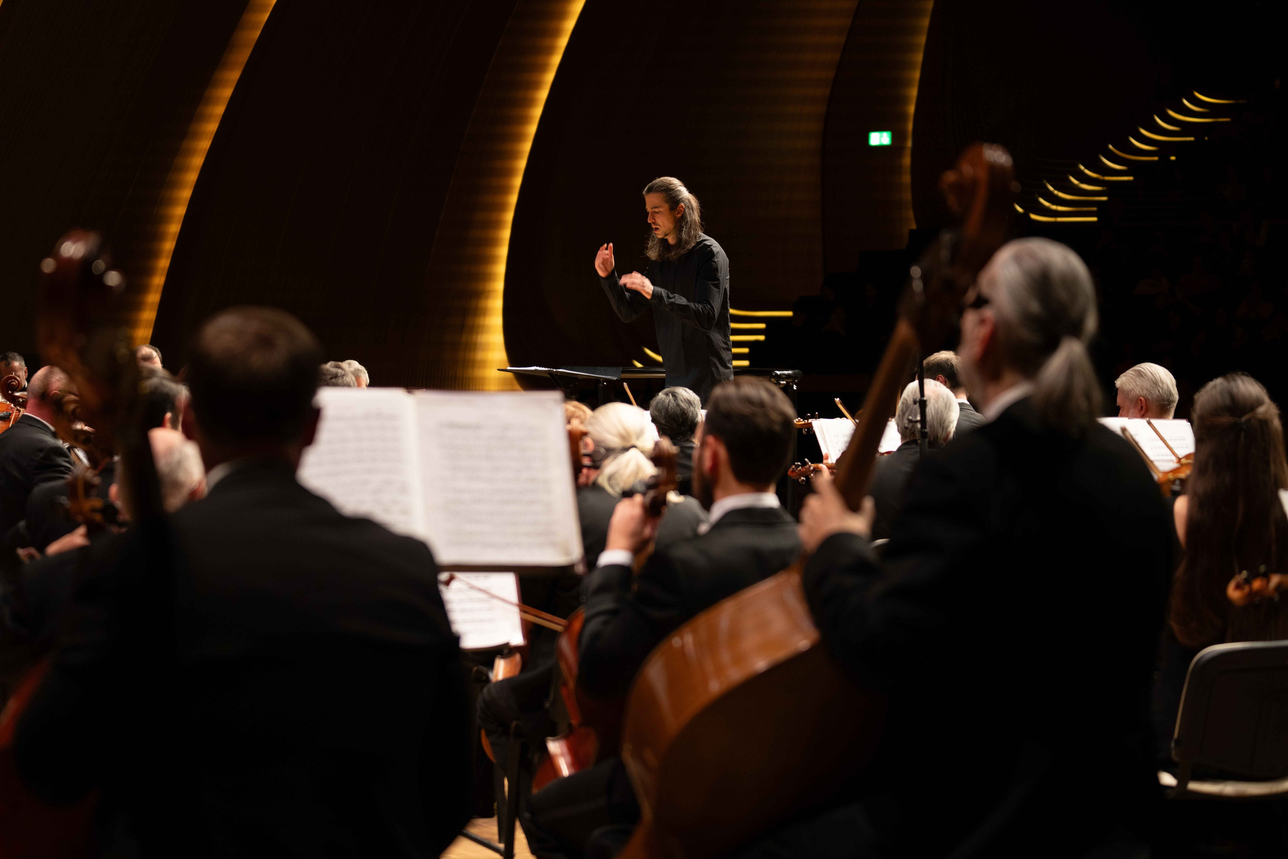 The Tchaikovsky Academic Grand Symphony Orchestra in Baku. Wedding&Event photographer Ismail Rzayev in Baku