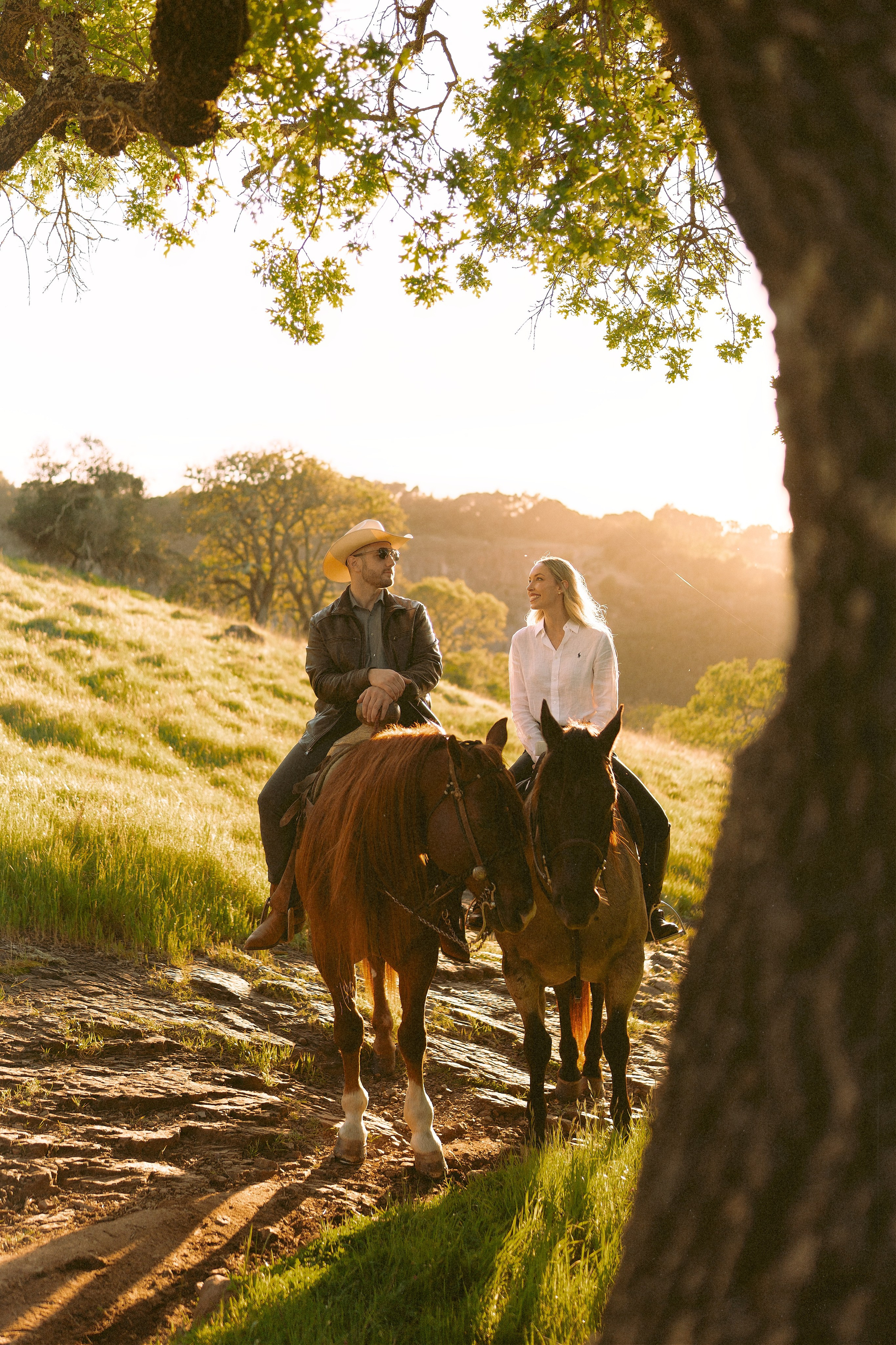 Engagement with Horses, Napa, Northern California. Wedding Photography & Videography Team in California, Los Angeles, San Francisco, San Diego and Travel