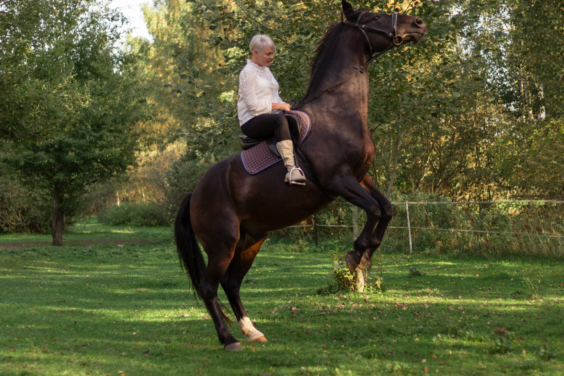 Анна и Прайд