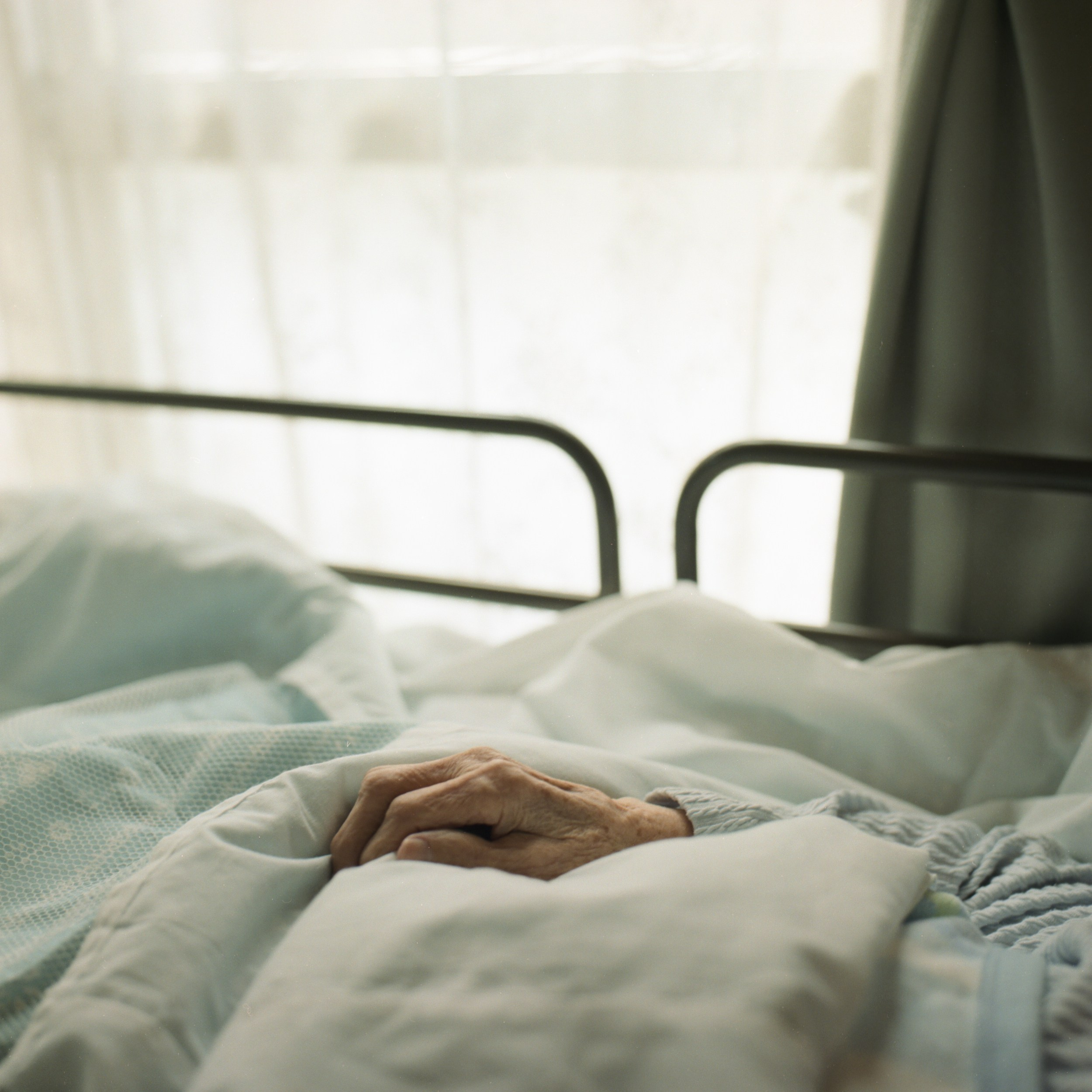 祖母とのヴァナキュラー. MT