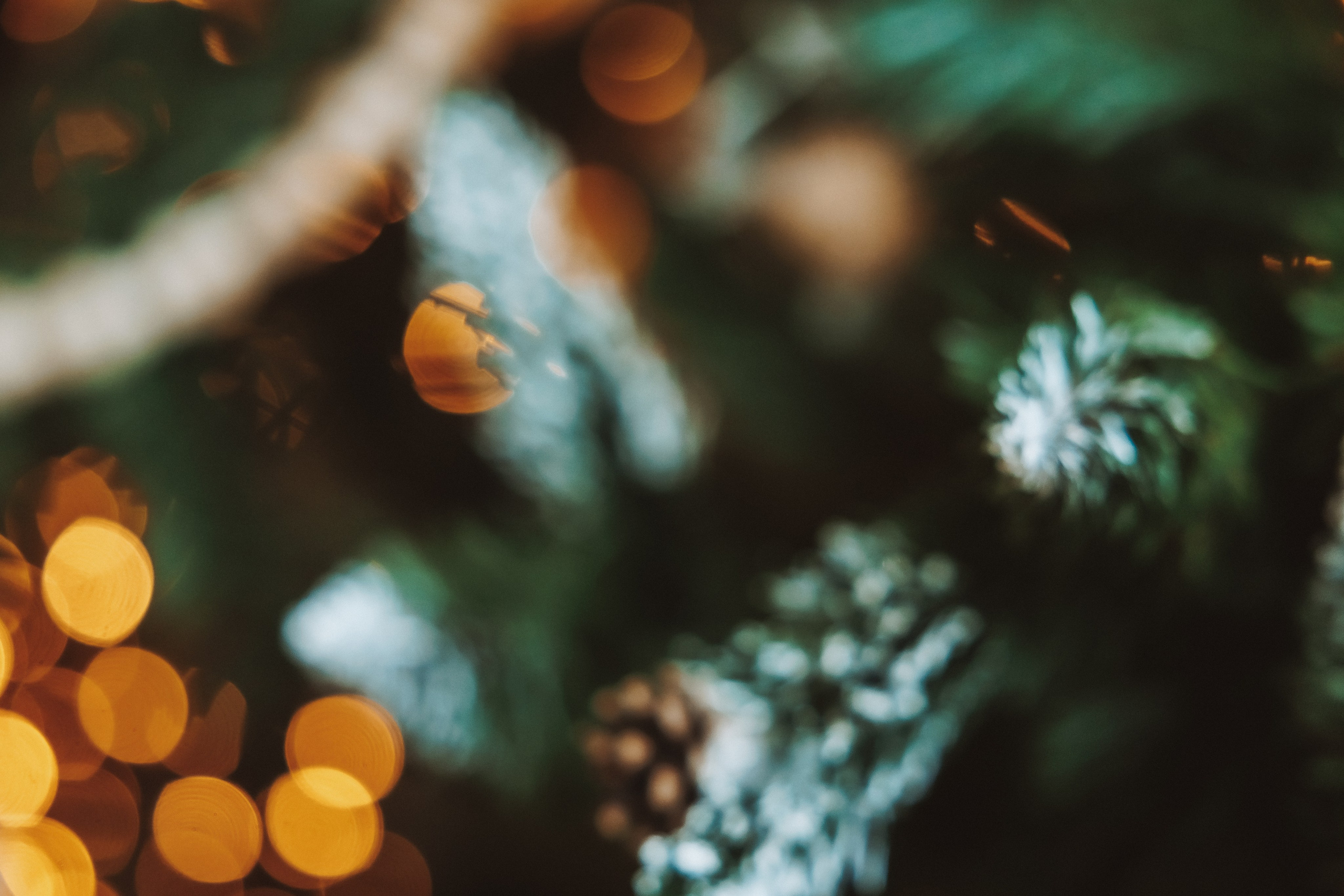 Декор 2023-24. Фотограф Ирина Йотова