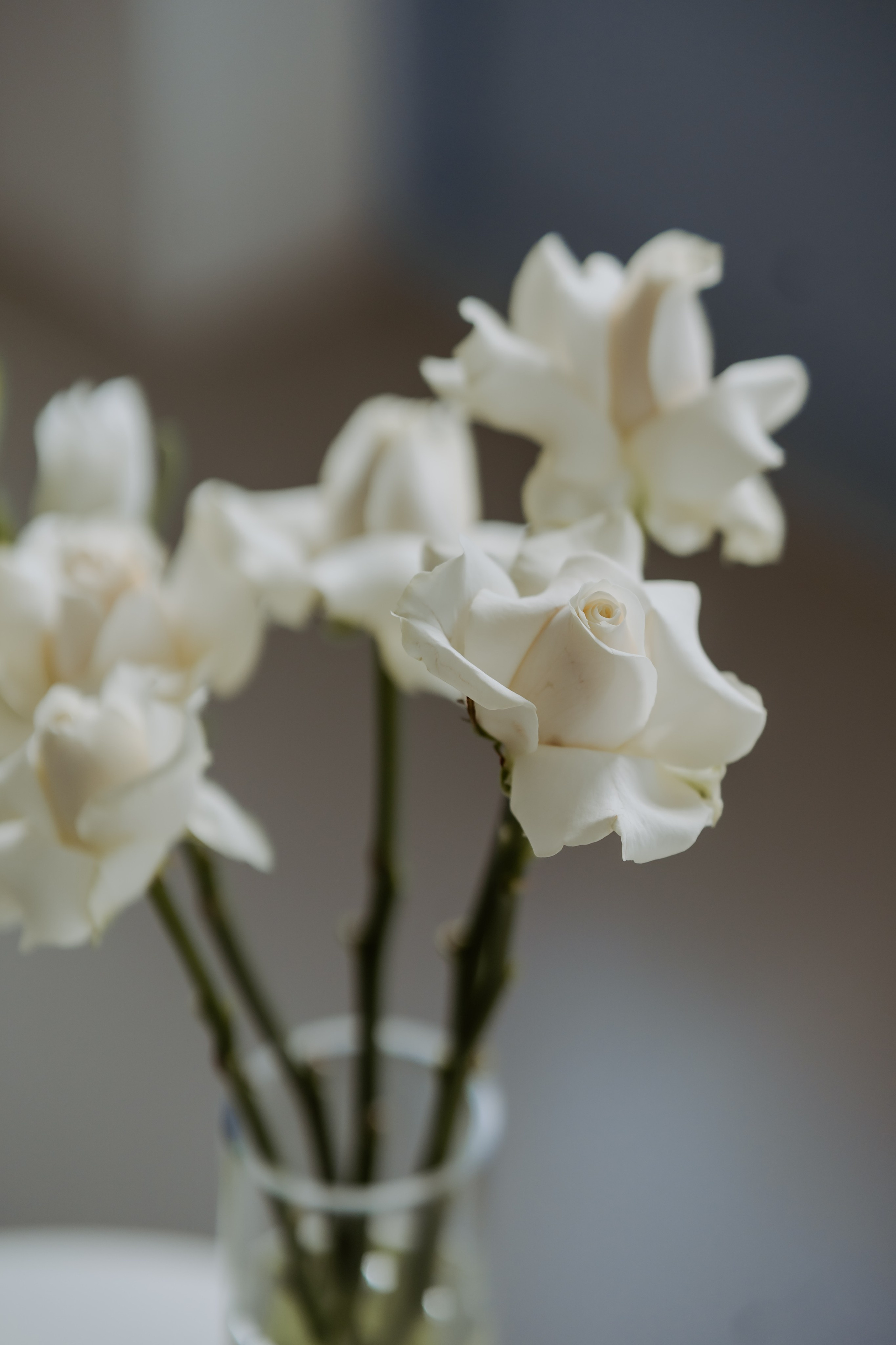 Set-дизайн. Студия декора «Нарния»