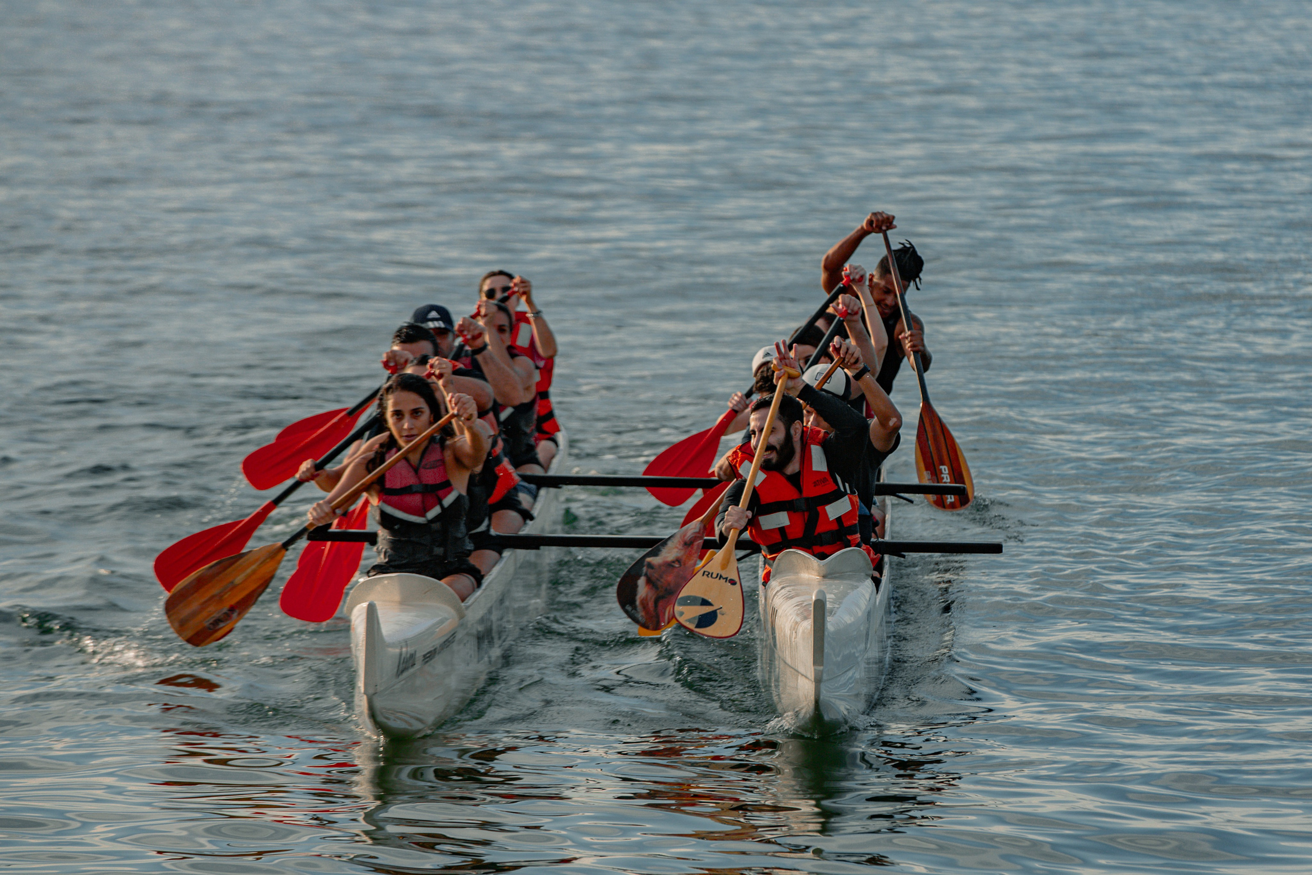 Sports. Thiago Chinellato