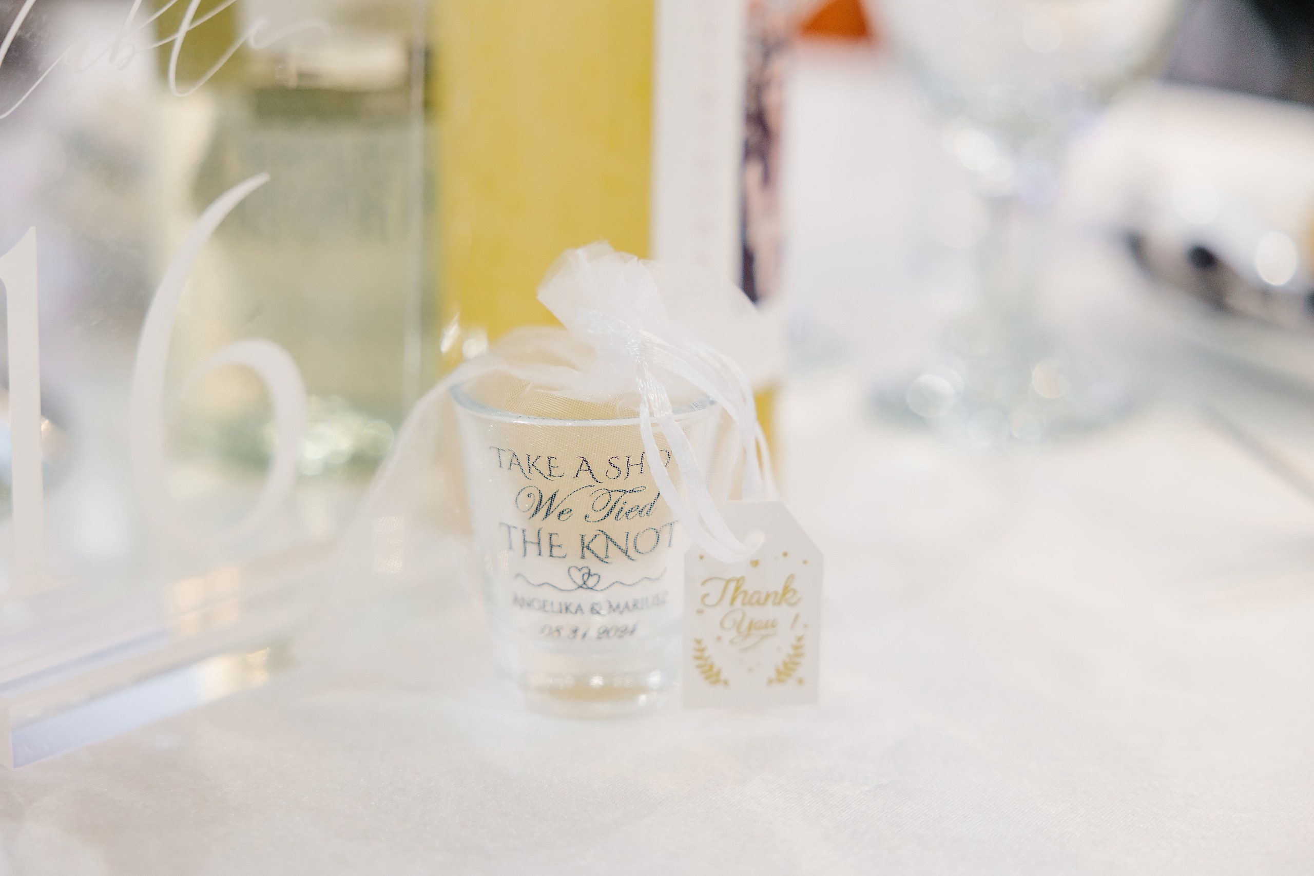 31.08.2024 Wedding. Wedding family event photographer in Chicago Nick Yushevich