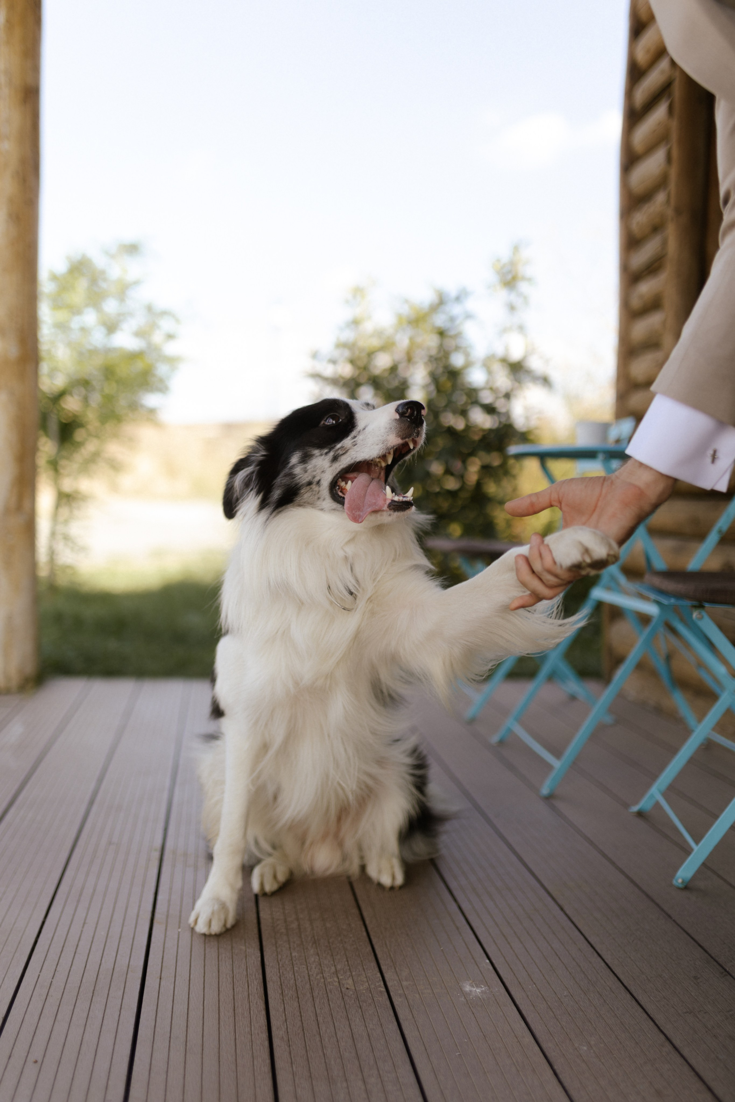 Wedding at Province Timisoara | Cristina & Robert. Wedding photographer and videographer based in Timisoara, Romania