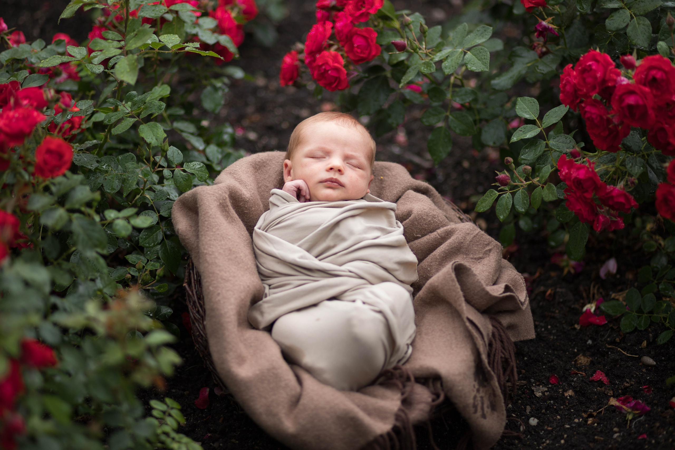 Newborn. Familien- und Kinderfotografin Katerina Vlasenko, München