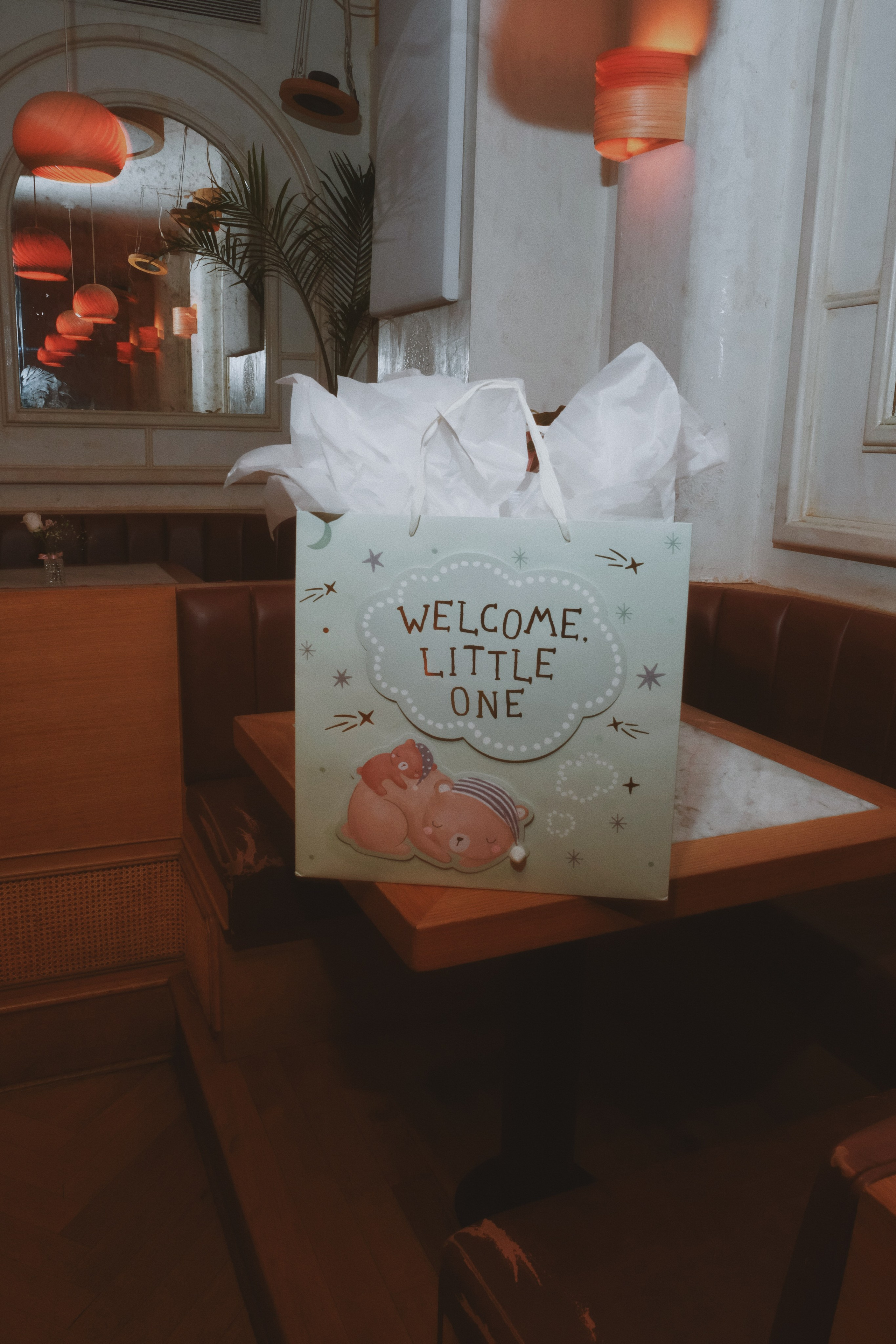 Welcome little one. New York Photographer Sveta Zemskova, NYC Photo