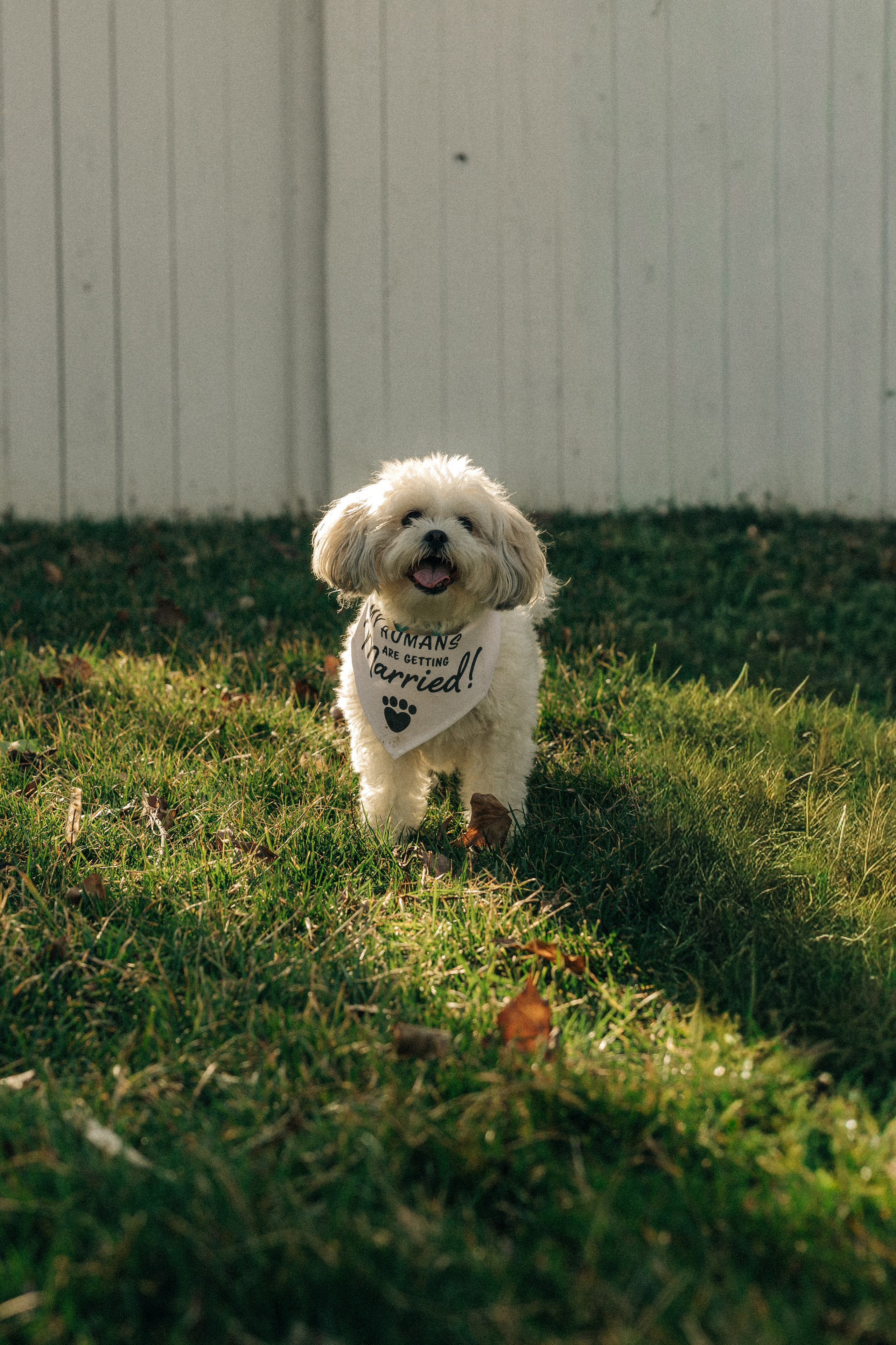 Alyssar&Krystle. Sara Eulalia | Virginia Photographer