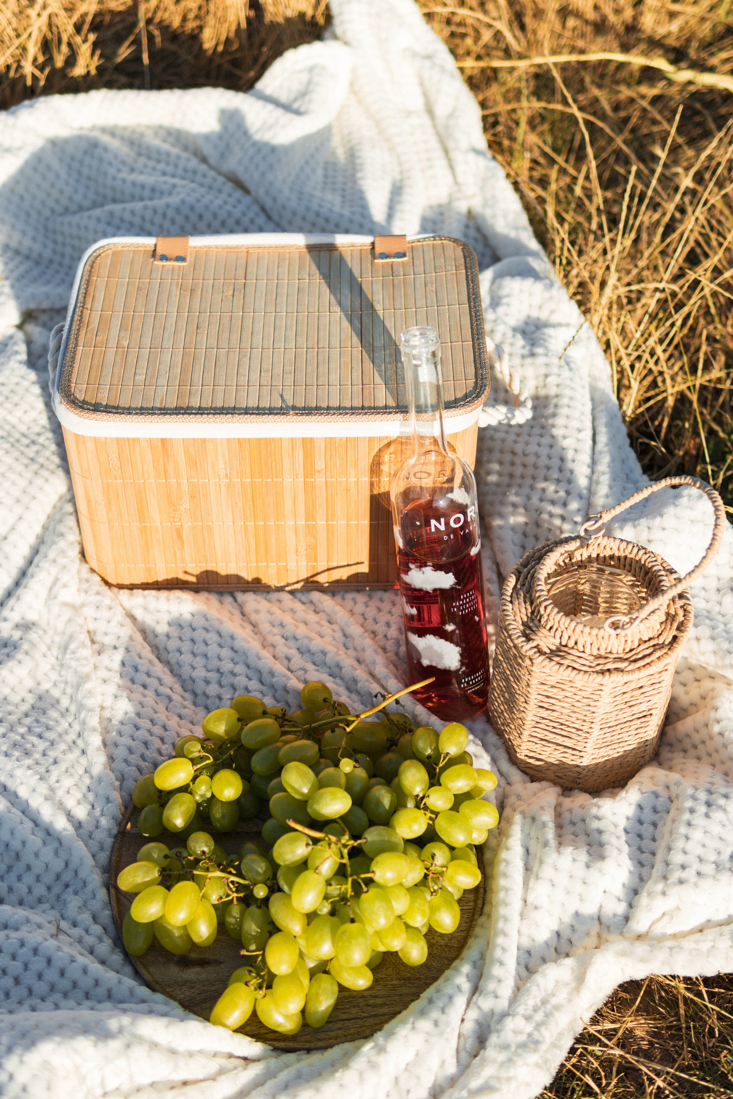 Couple Session — A Vineyard Love Story