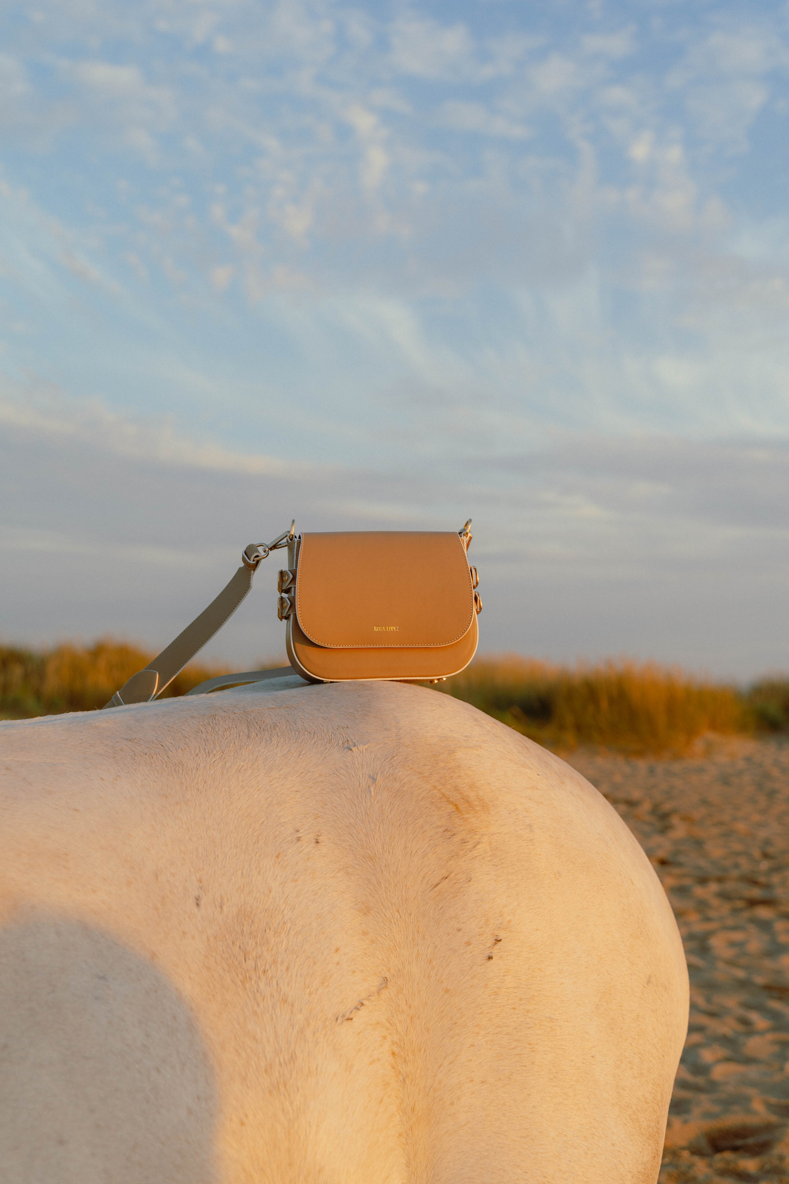 Rosa Lopez. Weeding photographer / event / portrait