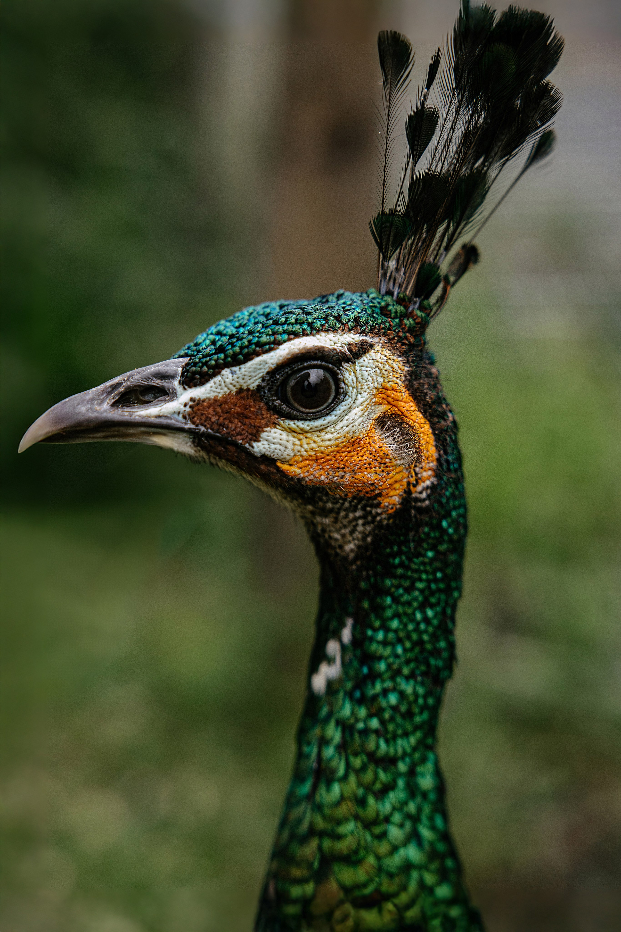 North trip. Профессиональный фотограф Нурмиева Вероника