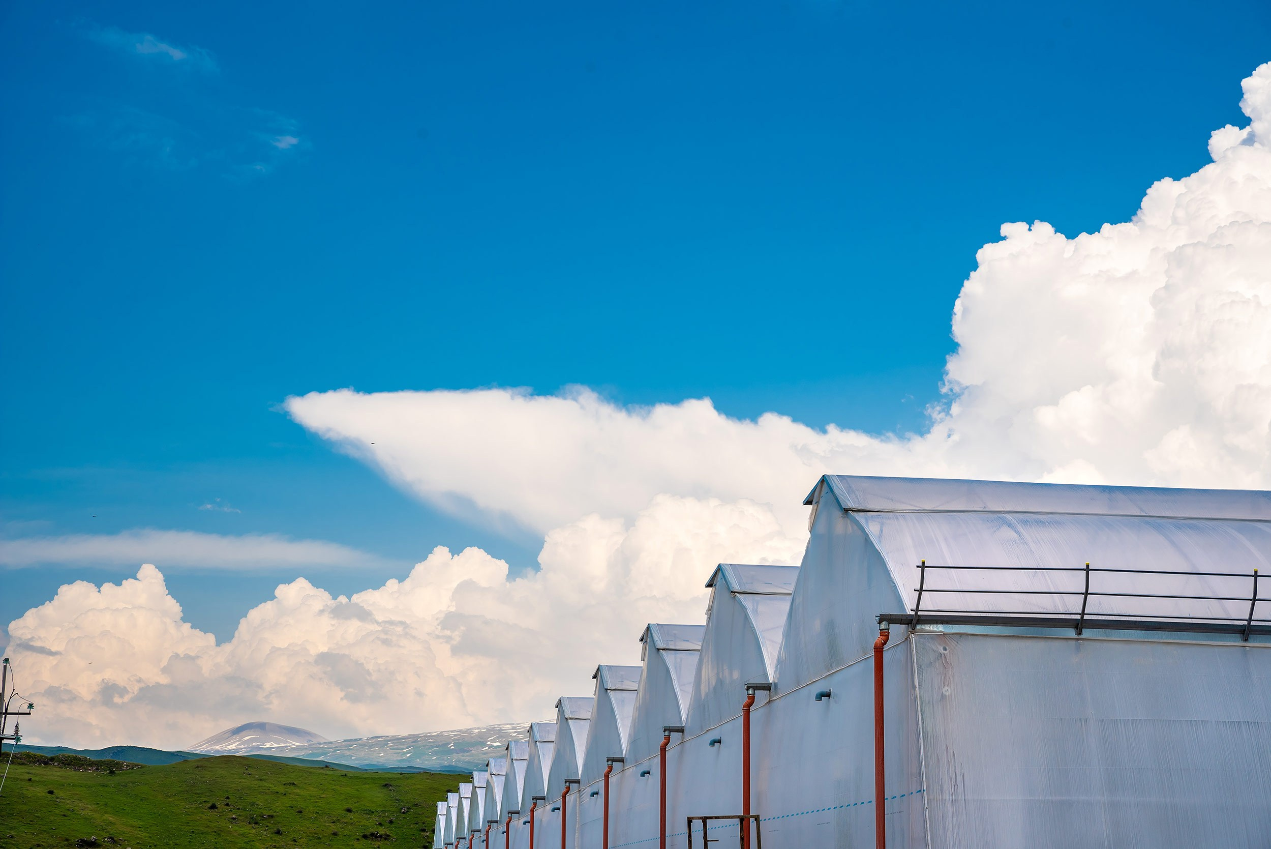 Rockberry. Фотограф в Ереване