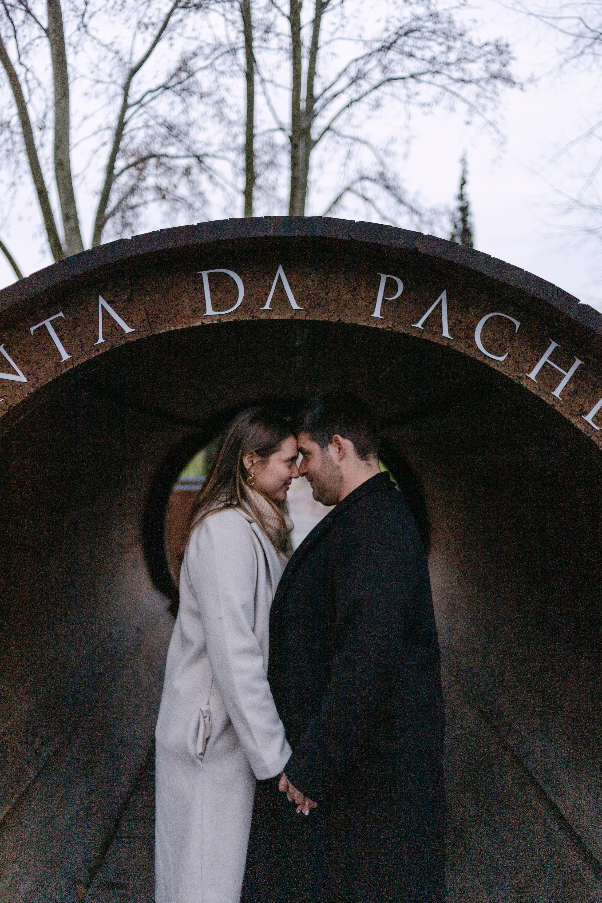 Proposal Sandro — Quinta Pacheca. Wedding and couple photographer in Porto