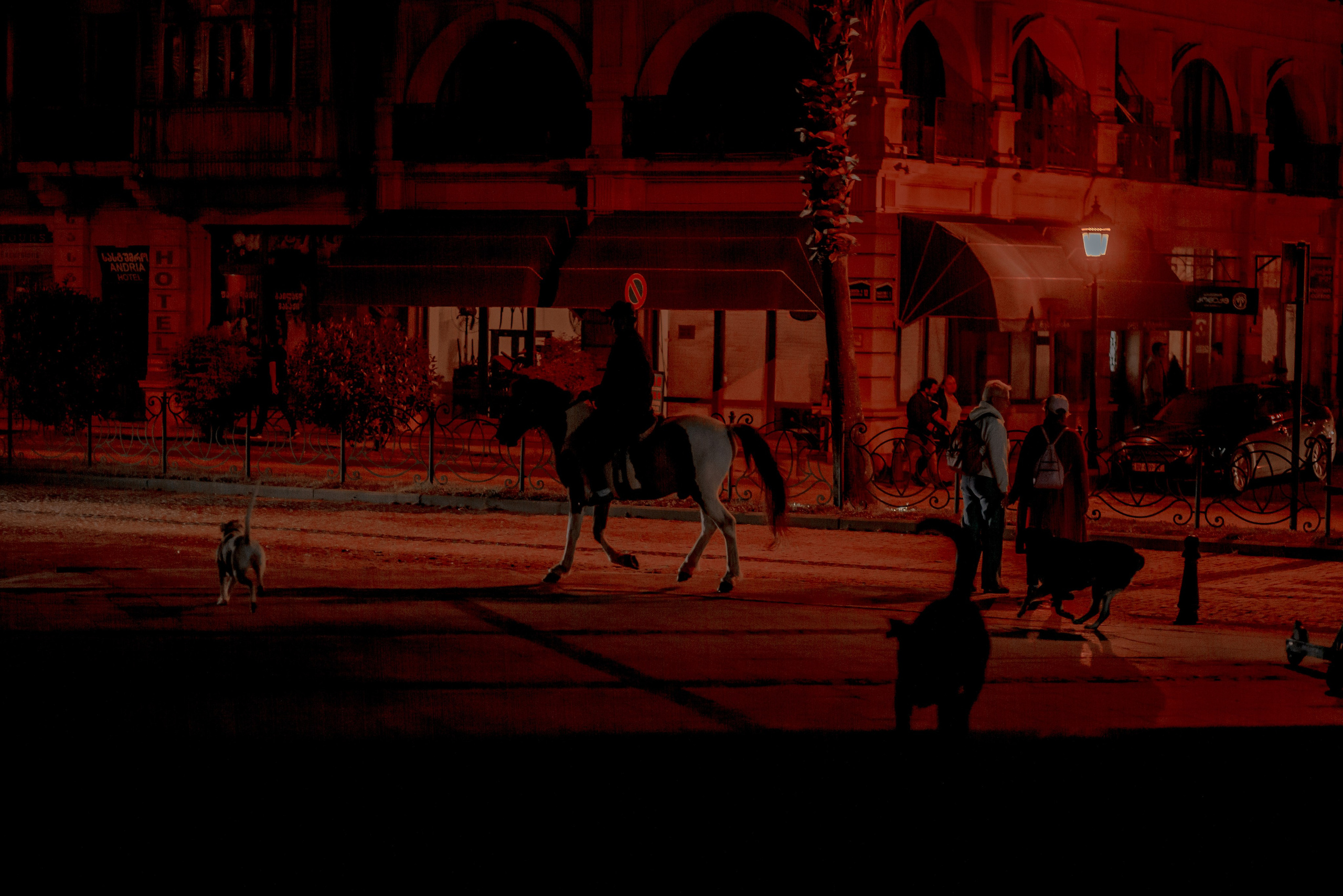 Georgia, Batumi. Art Photographer