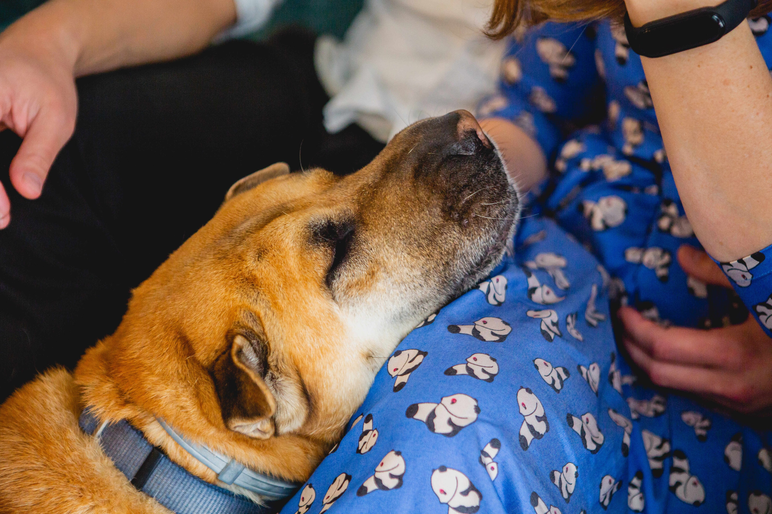 KIM FAMILY. Https://shi-photo.com/