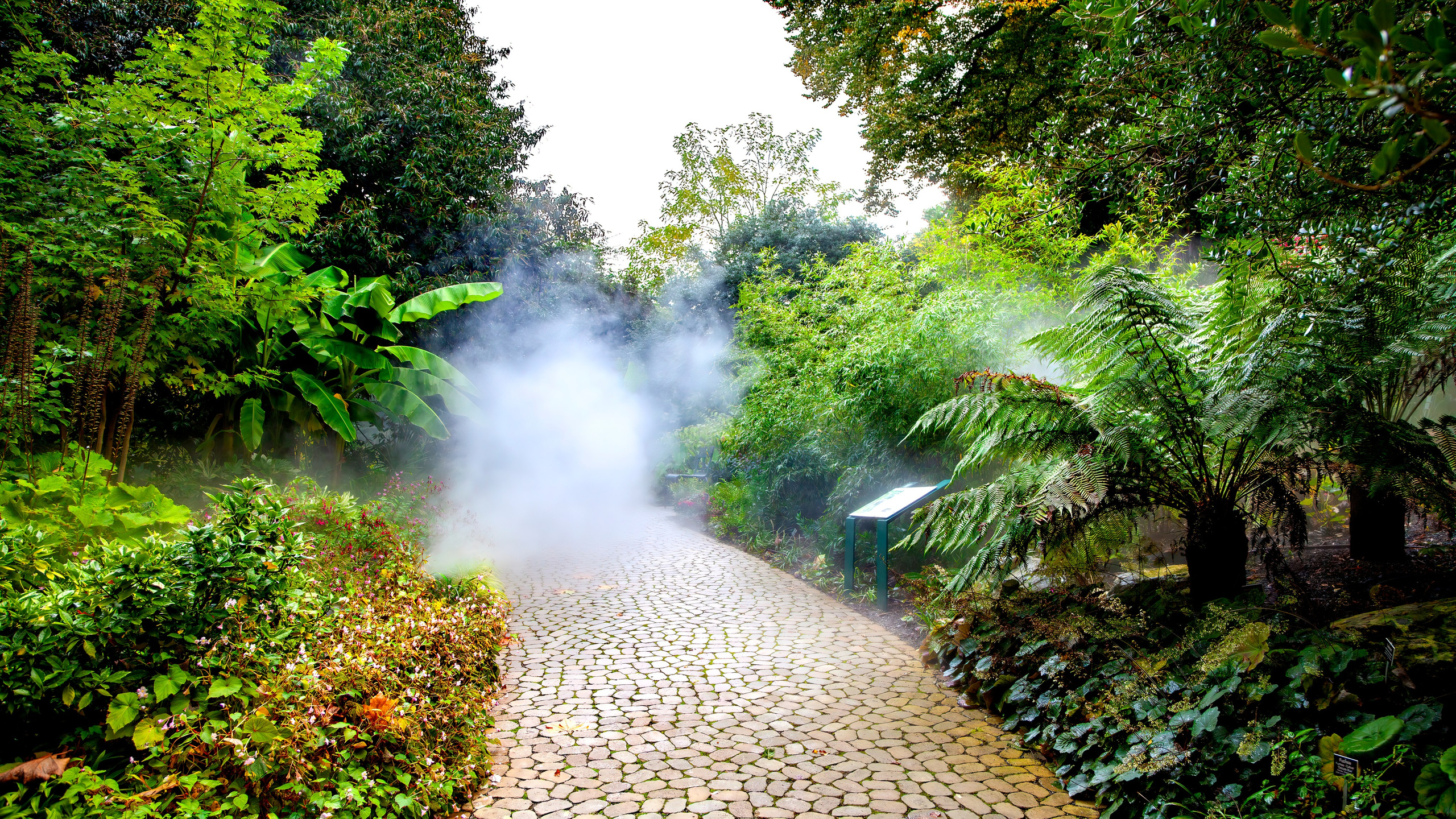187.Mainau.Germany.24.9.2024. Путешествия в формате 360......
