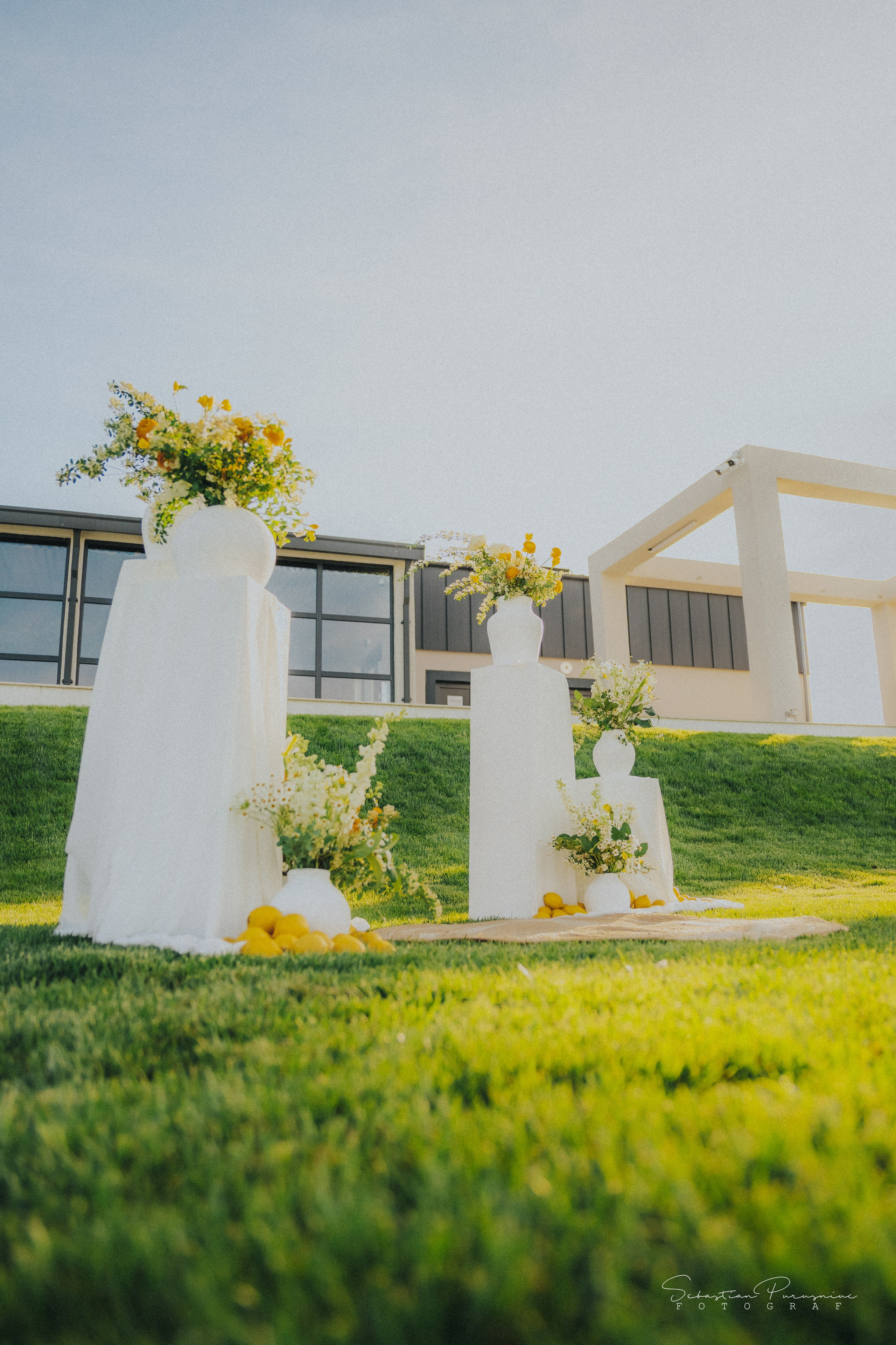 Love & Lemons. Sebastian Purusniuc Fotograf - Iasi