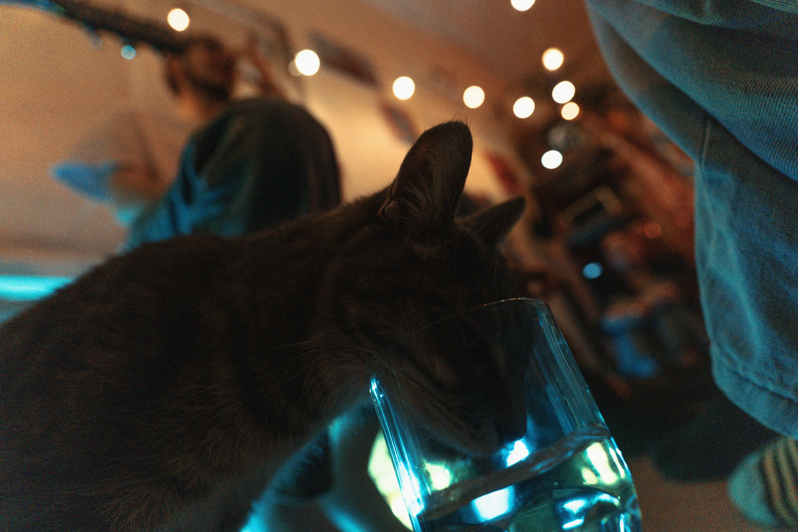 2024. Стрит-фотография, полная абсурда, идиотизма и красоты