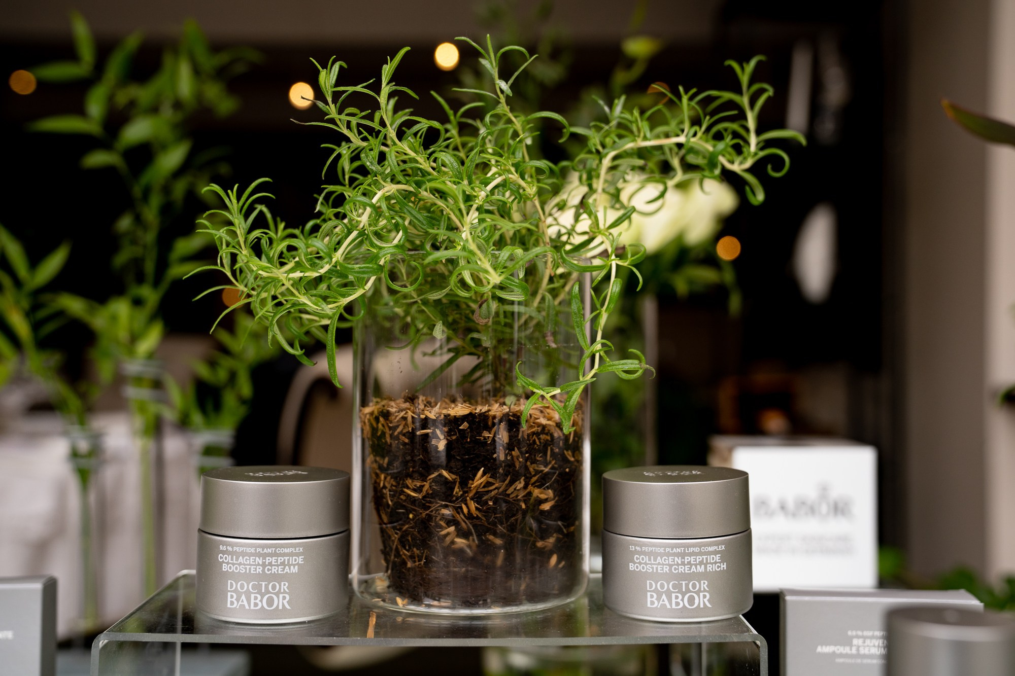 Fotografie Corporate Specializat in Lansări Produs si Serviciu. Fotograf Corporate Business