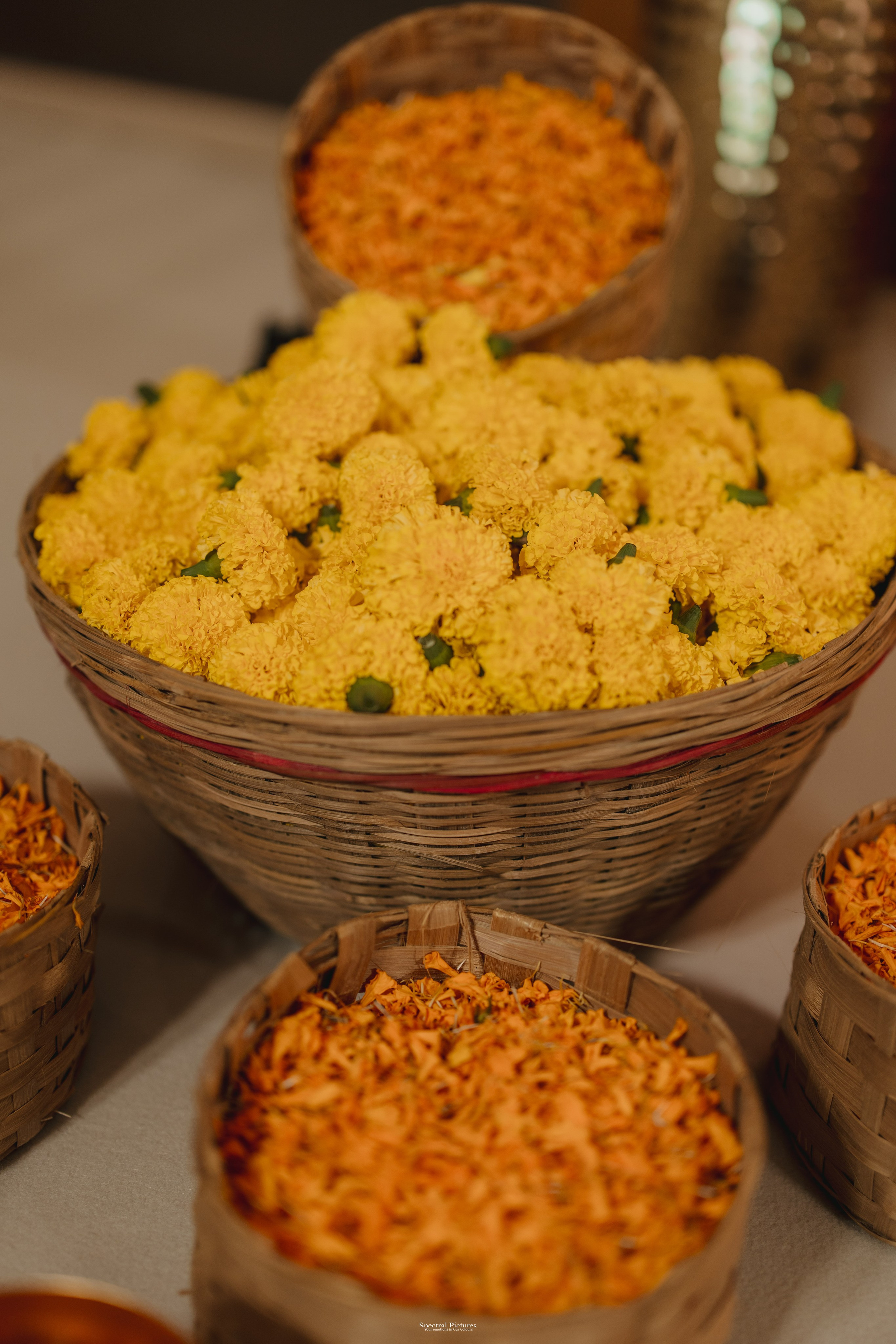 #ADIकीAESHहै