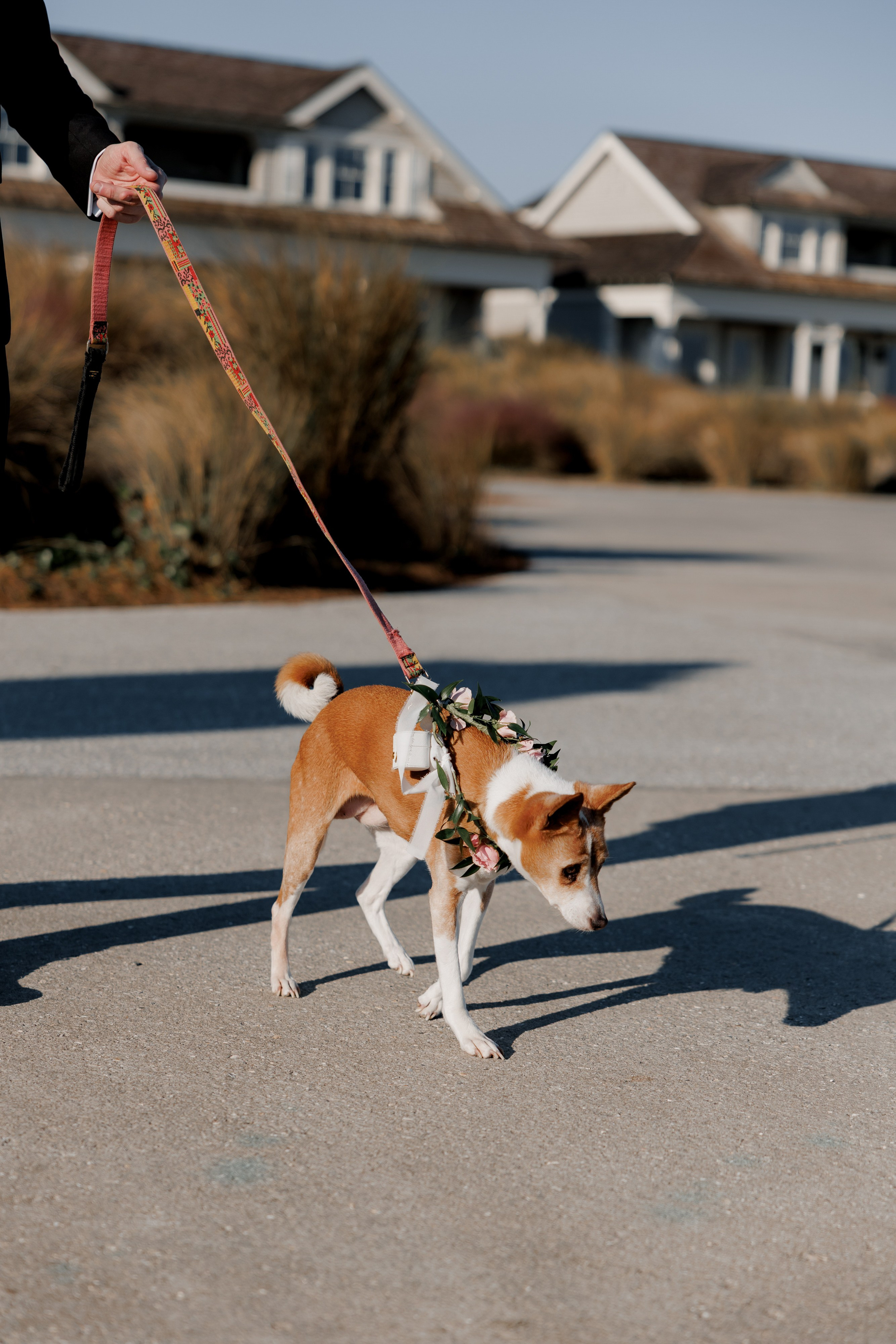 Marci and Yi. Wedding photographer and videographer New York | New Jersey
