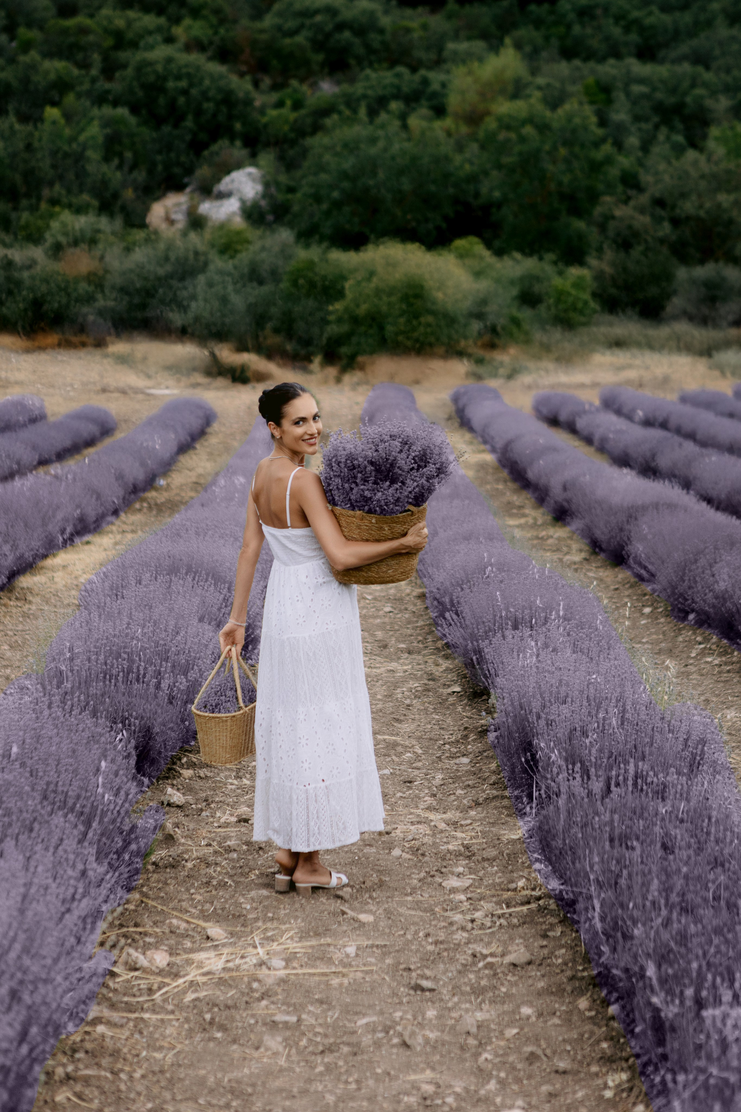 Лаванда. Фотограф в Анталии, Кемере и Белеке