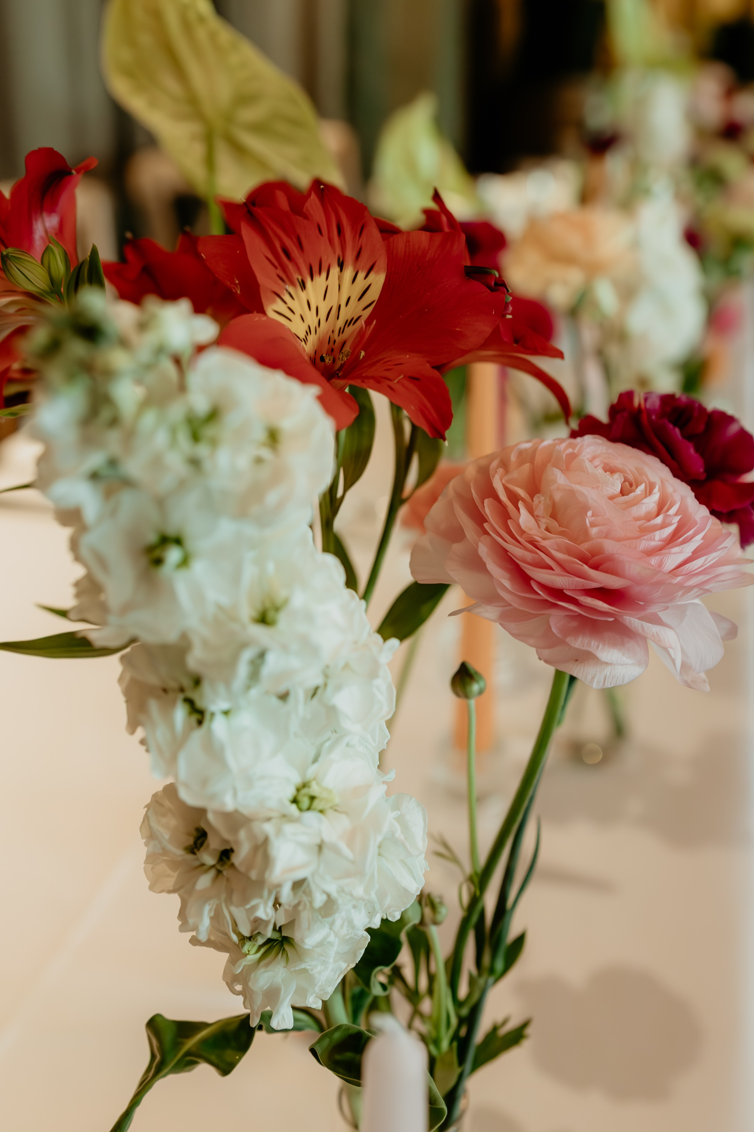 D&V Wedding. Family and children photographer in Belgrade Milja Ciric