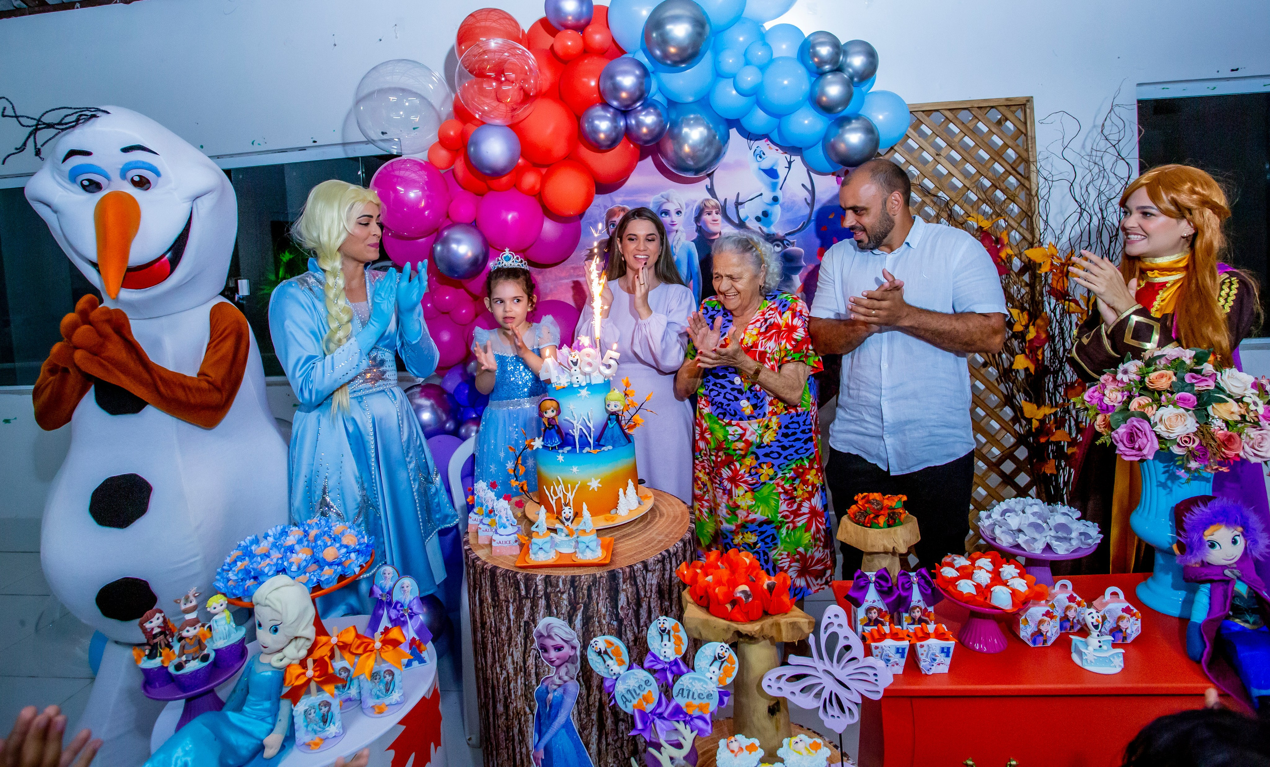 Aniversario Alice 5 Anos. Flavio Nunes Fotografia (Fotografo especializado em Fotografia de 15 Anos e Ensaios)