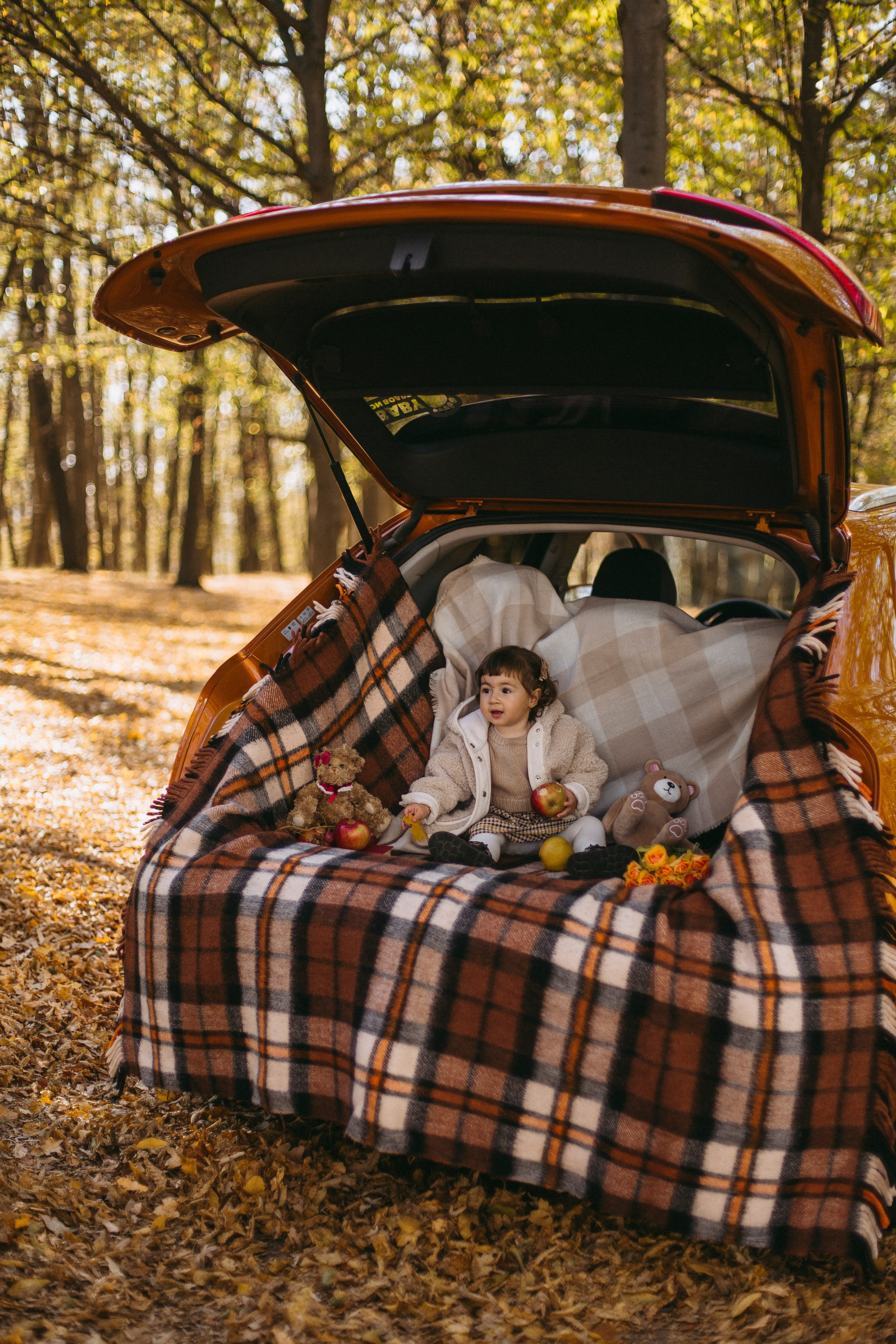 Pricop. Fotograf București, România