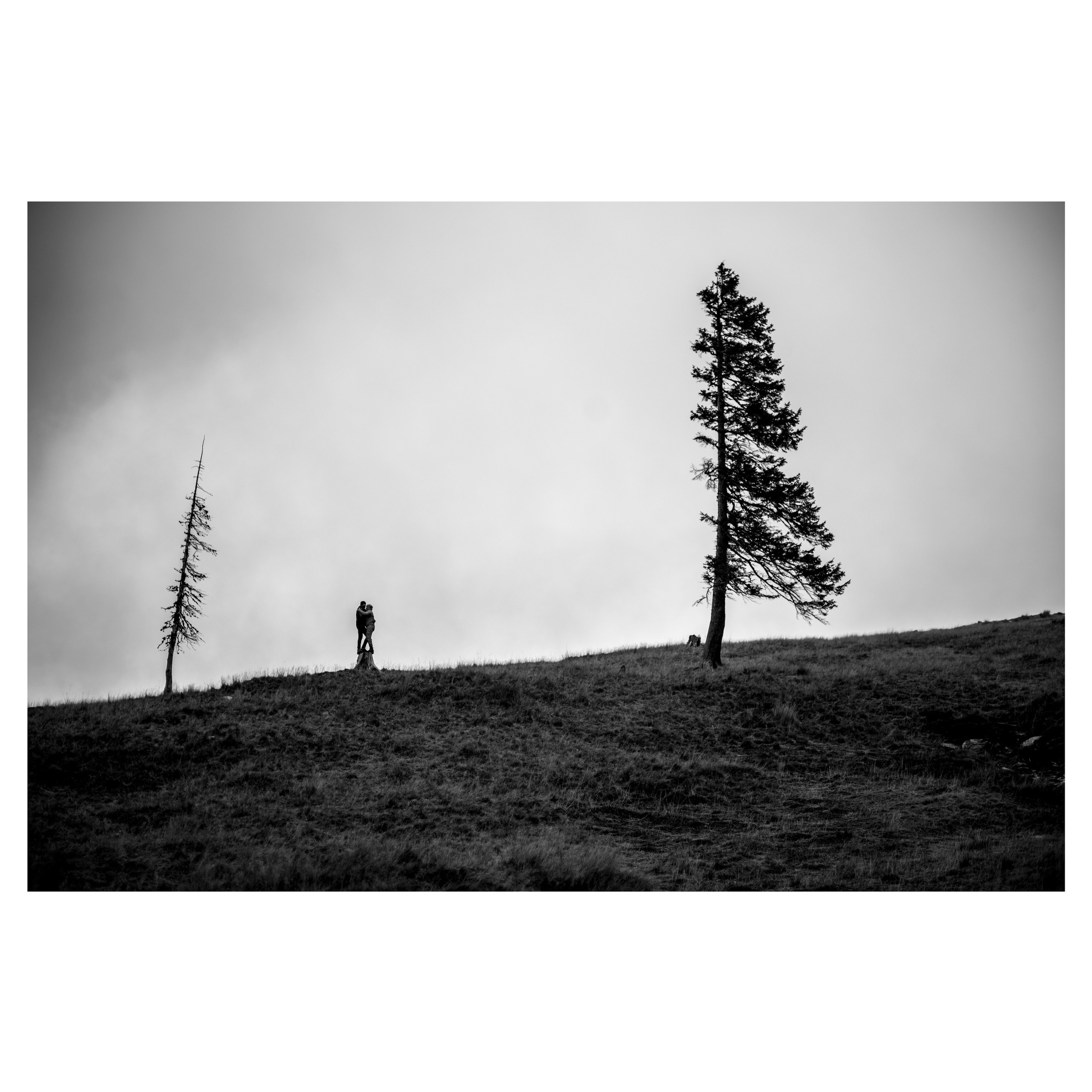 Workshop. Ionut Birceanu