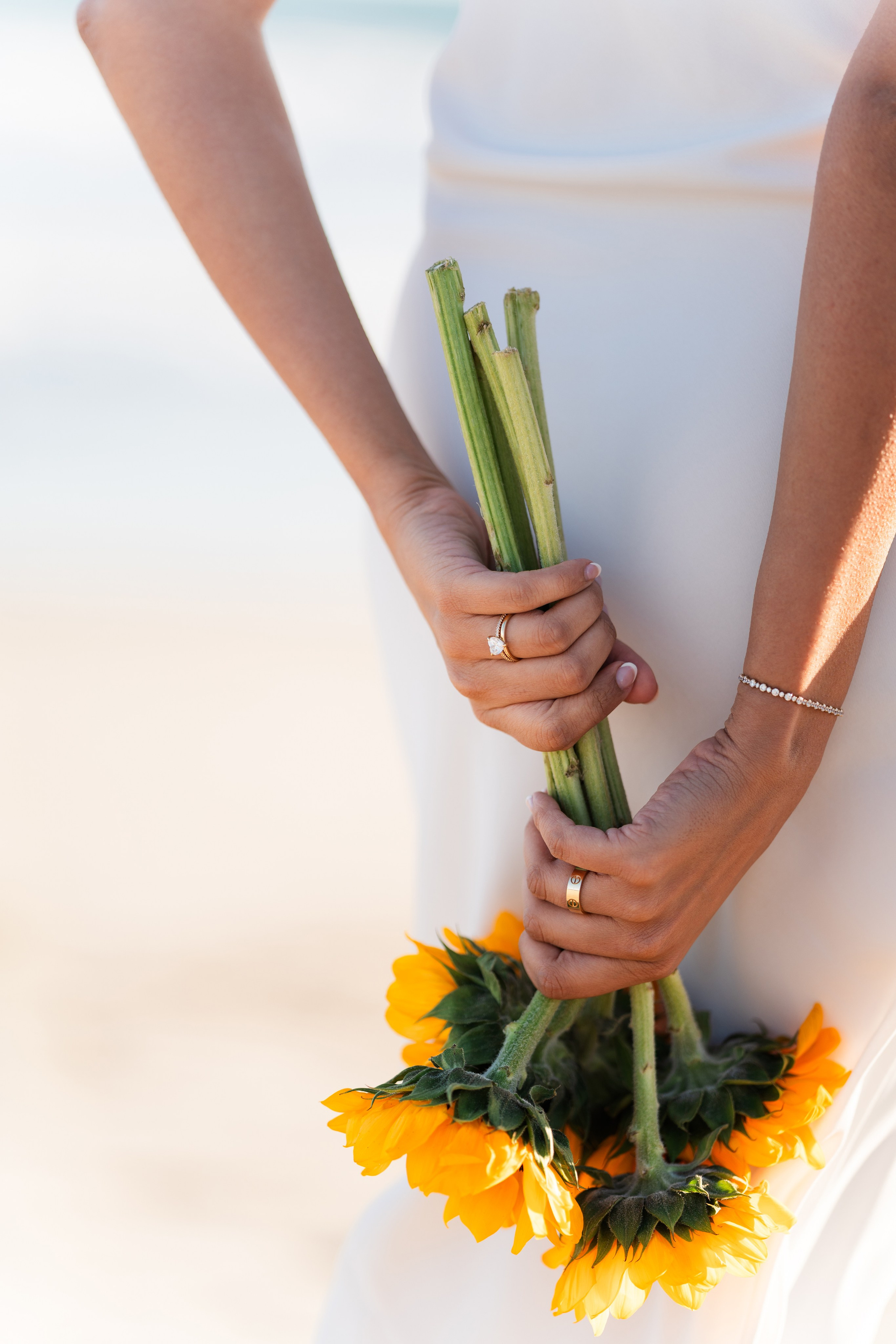 Proposals. Photographer Nadezhda Gorbushina