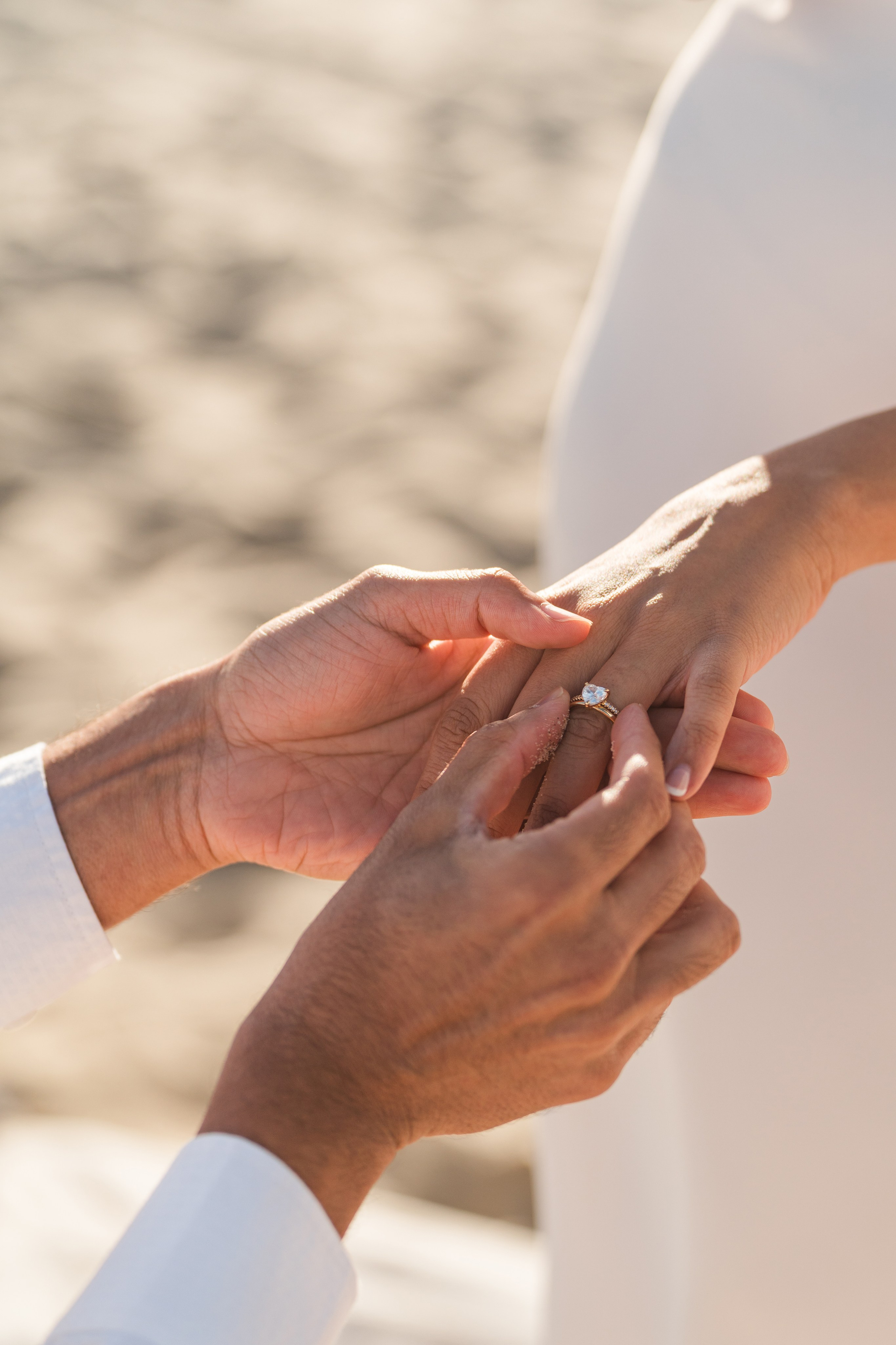 Proposals. Photographer Nadezhda Gorbushina