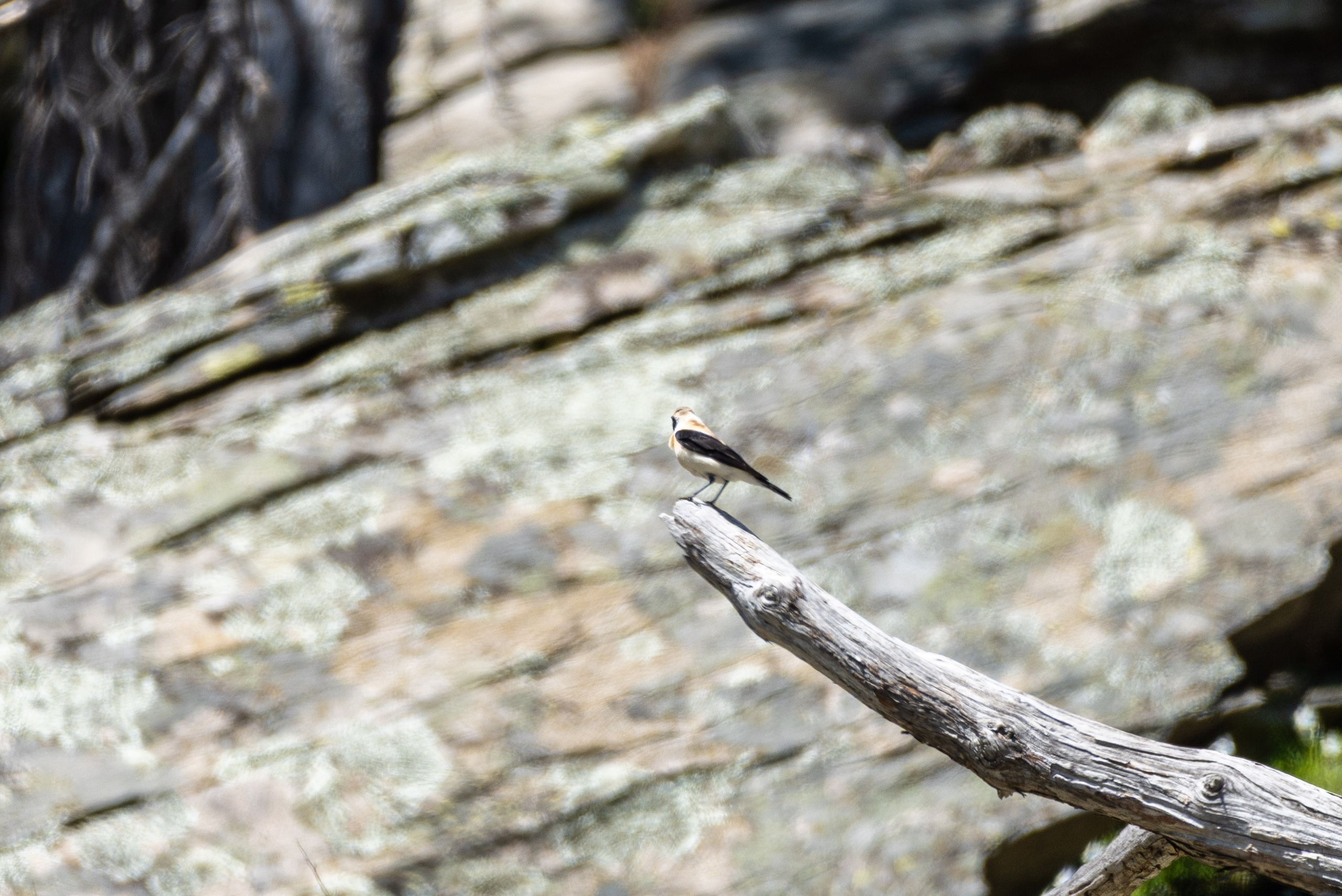 Thasos 2025. Fotografiideplacere.net
