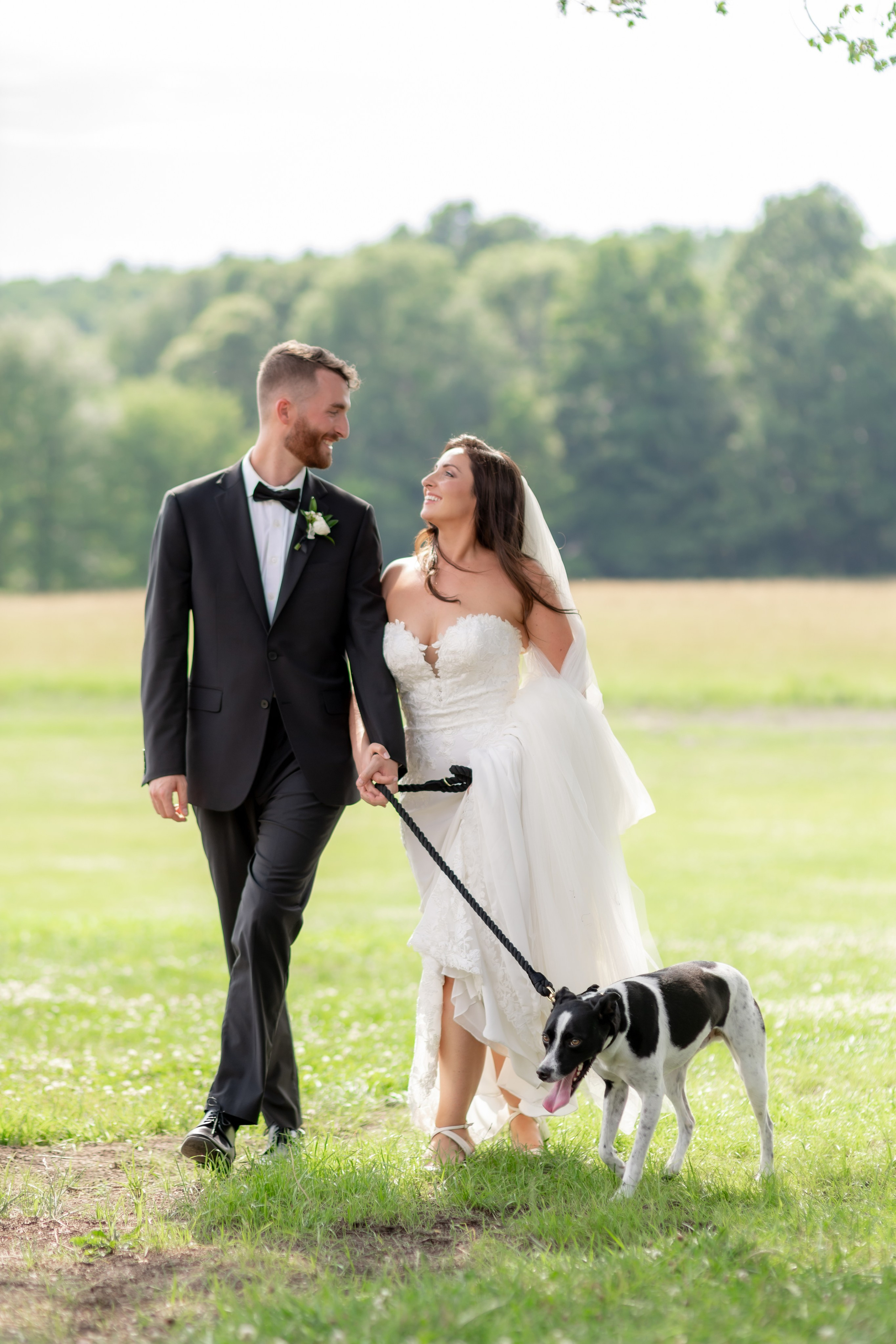 Angelica & Conor. Wedding Photo & Video