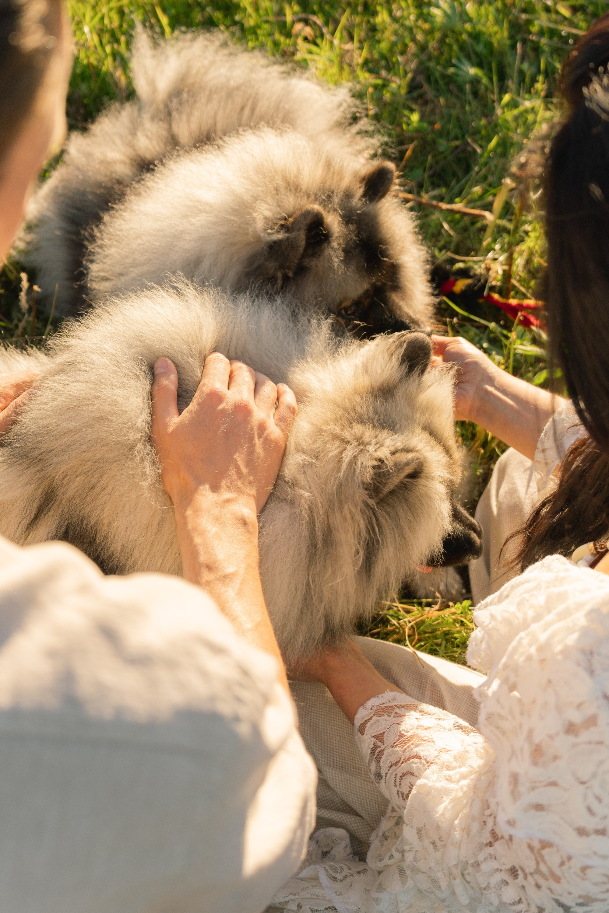 Rūta, Mindaugas, Yuma ir Meila. Vita Klimaševska ○ Fluffy Soulmate Photography