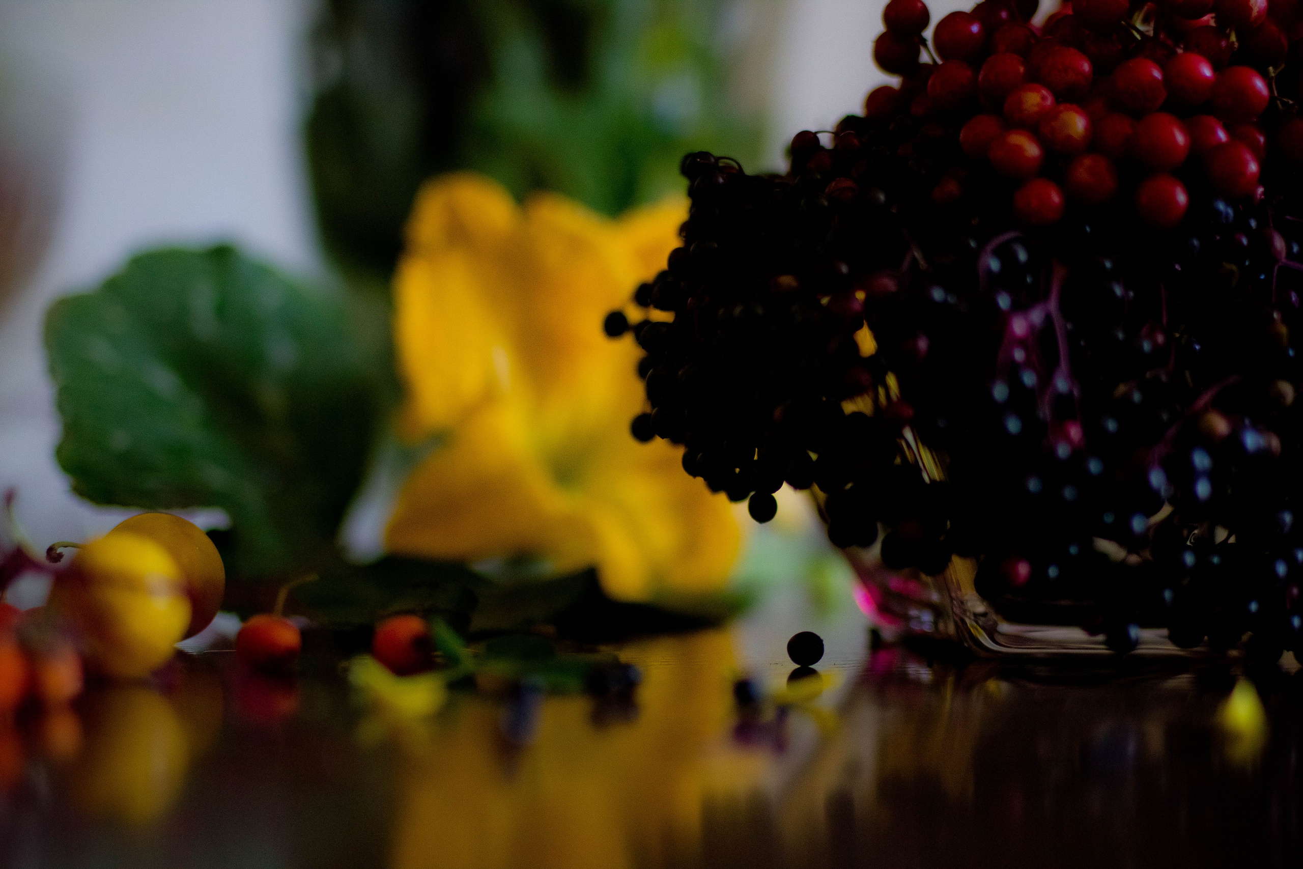 EXHIBITION. Lero Photographer and a set designer|individual custom portrait and advertising photography in Zutphen