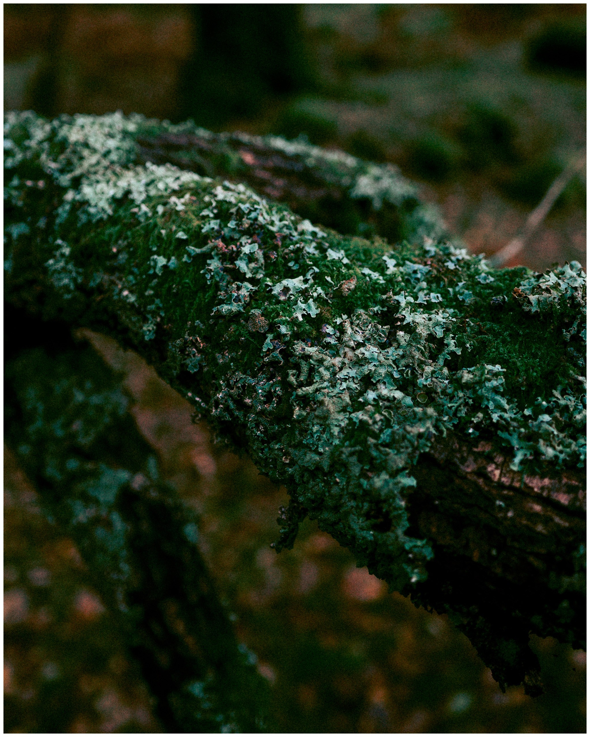 IRELAND. Inna Mendelson — Photographer