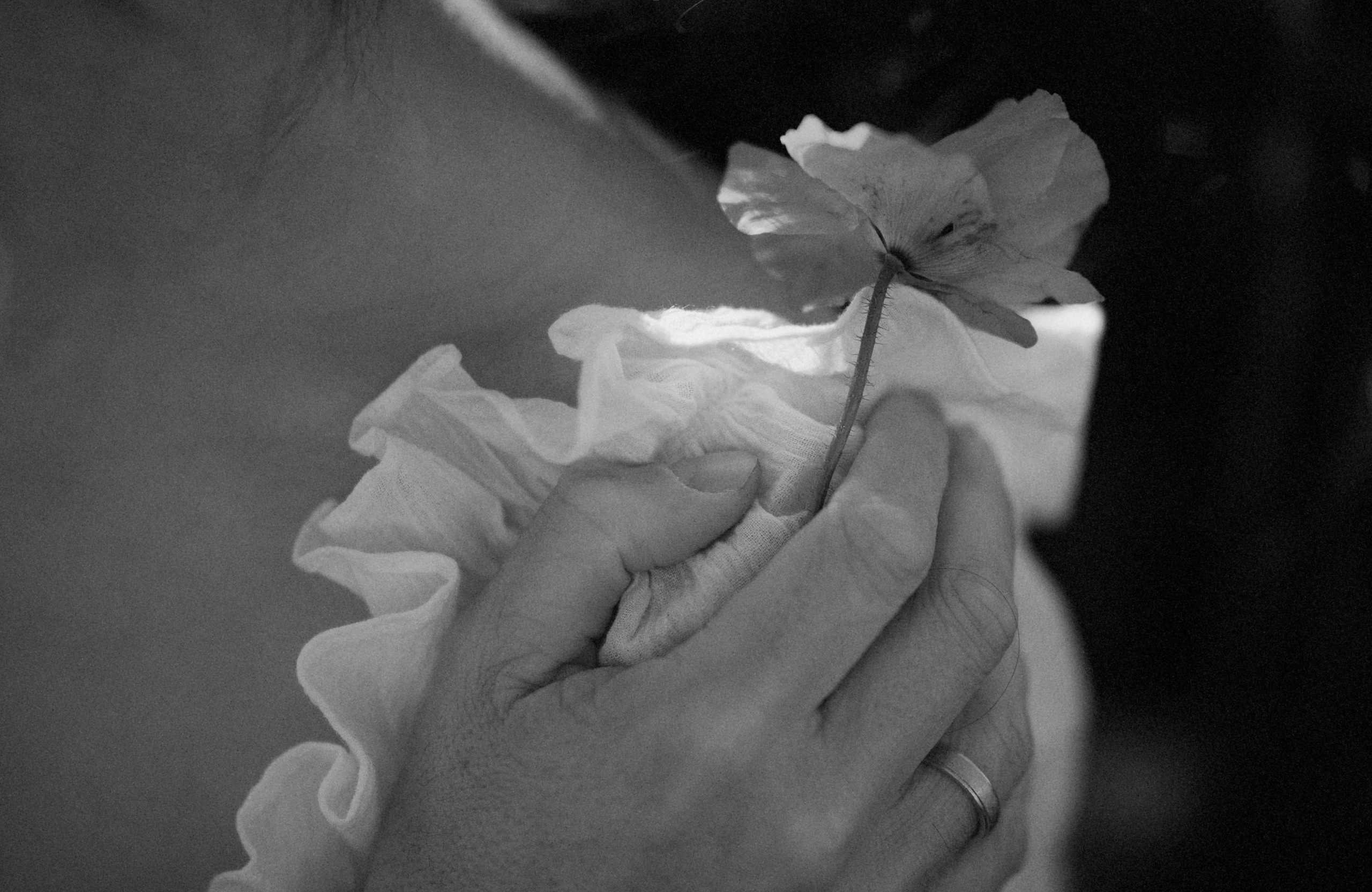 М & L. Фотограф на Кипре