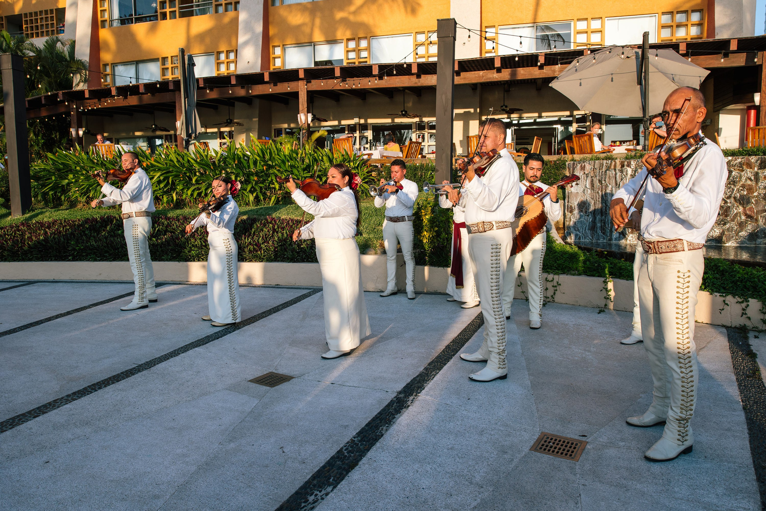 Fiesta/ Coctel. Principal