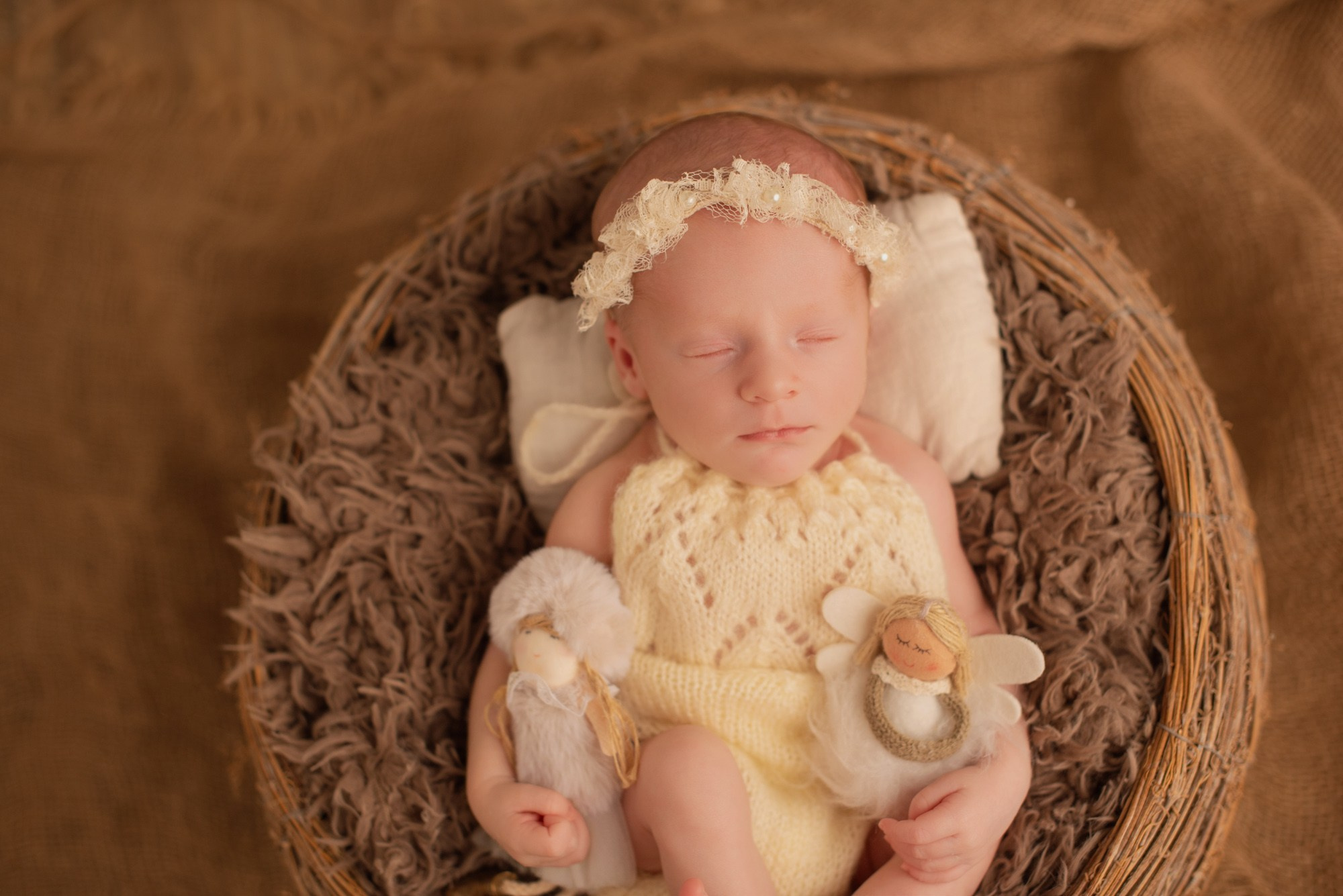 Photo naissance Nord