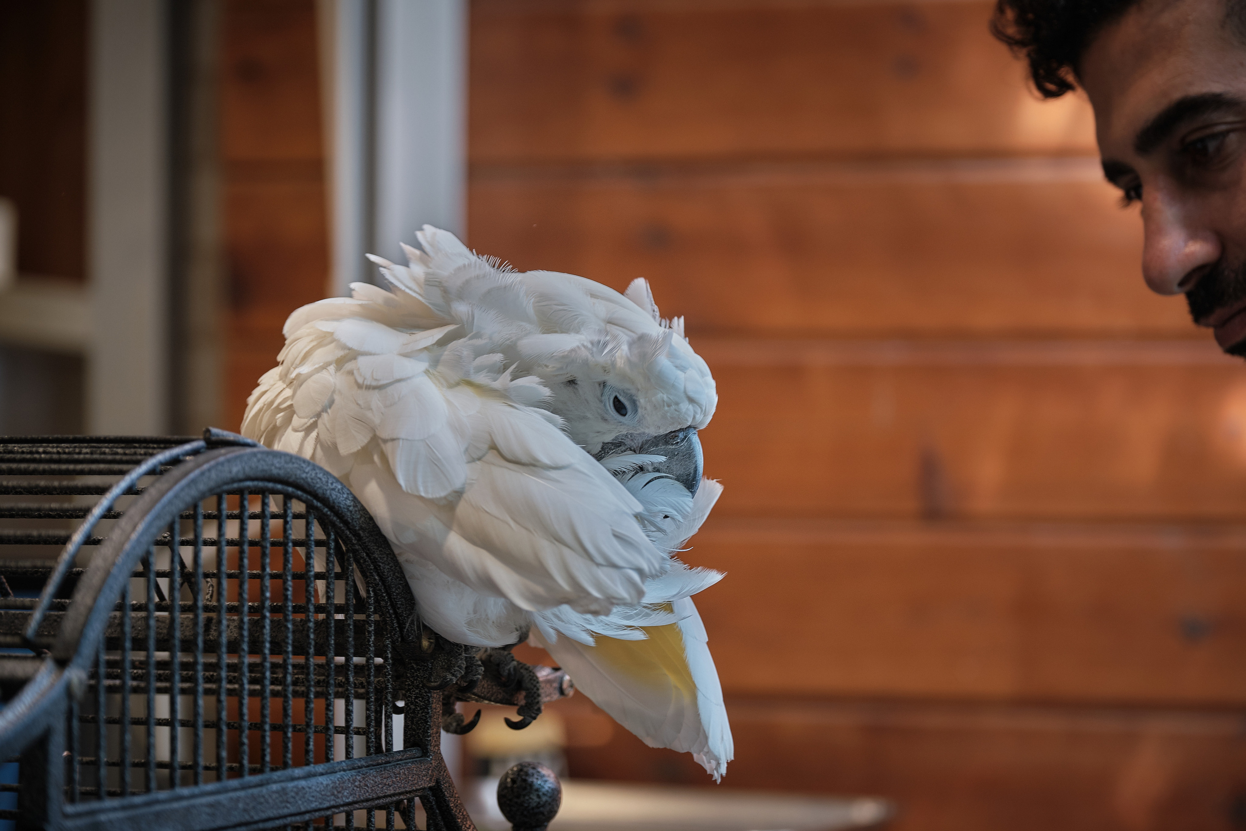 Middle East Photo Agency — Weddings, Bar & Bat Mitzvahs, Brit Milah, Theater, Magnets, Portraits