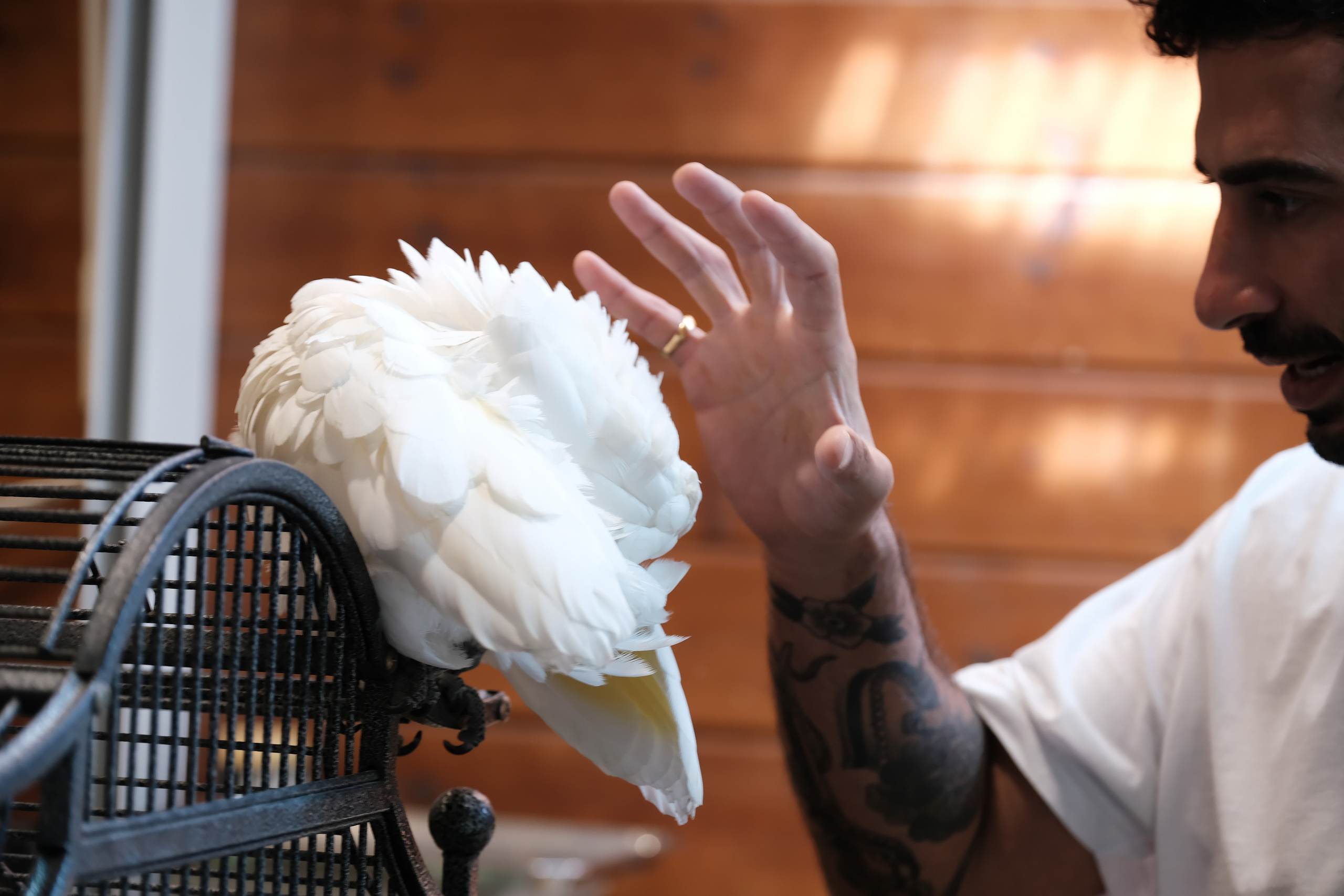 Middle East Photo Agency — Weddings, Bar & Bat Mitzvahs, Brit Milah, Theater, Magnets, Portraits