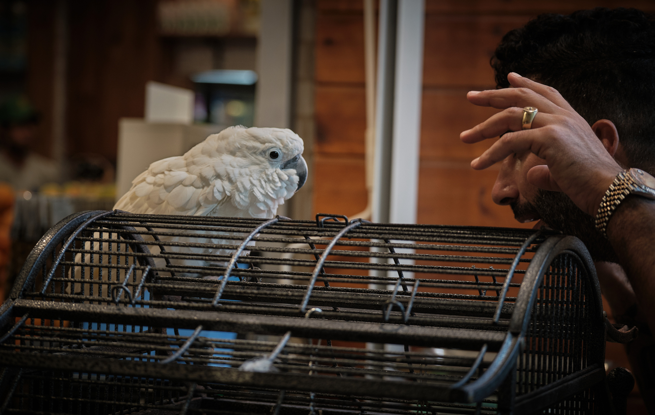 Middle East Photo Agency — Weddings, Bar & Bat Mitzvahs, Brit Milah, Theater, Magnets, Portraits