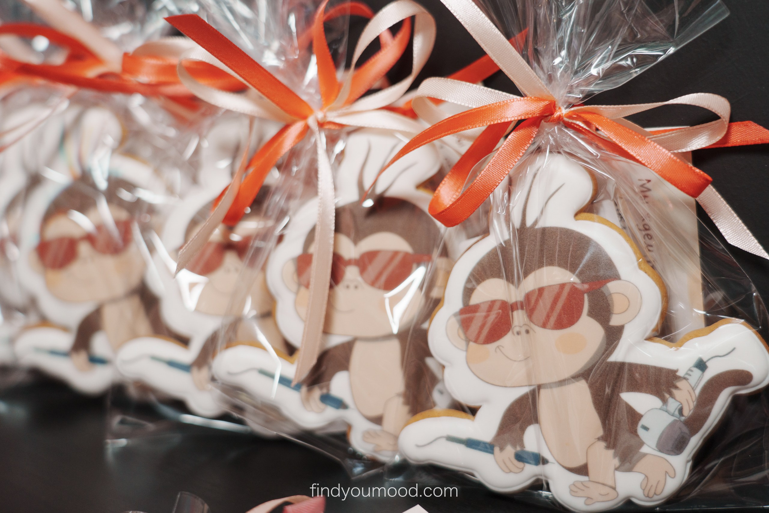 Birthday Epilution. Photo and video shooting