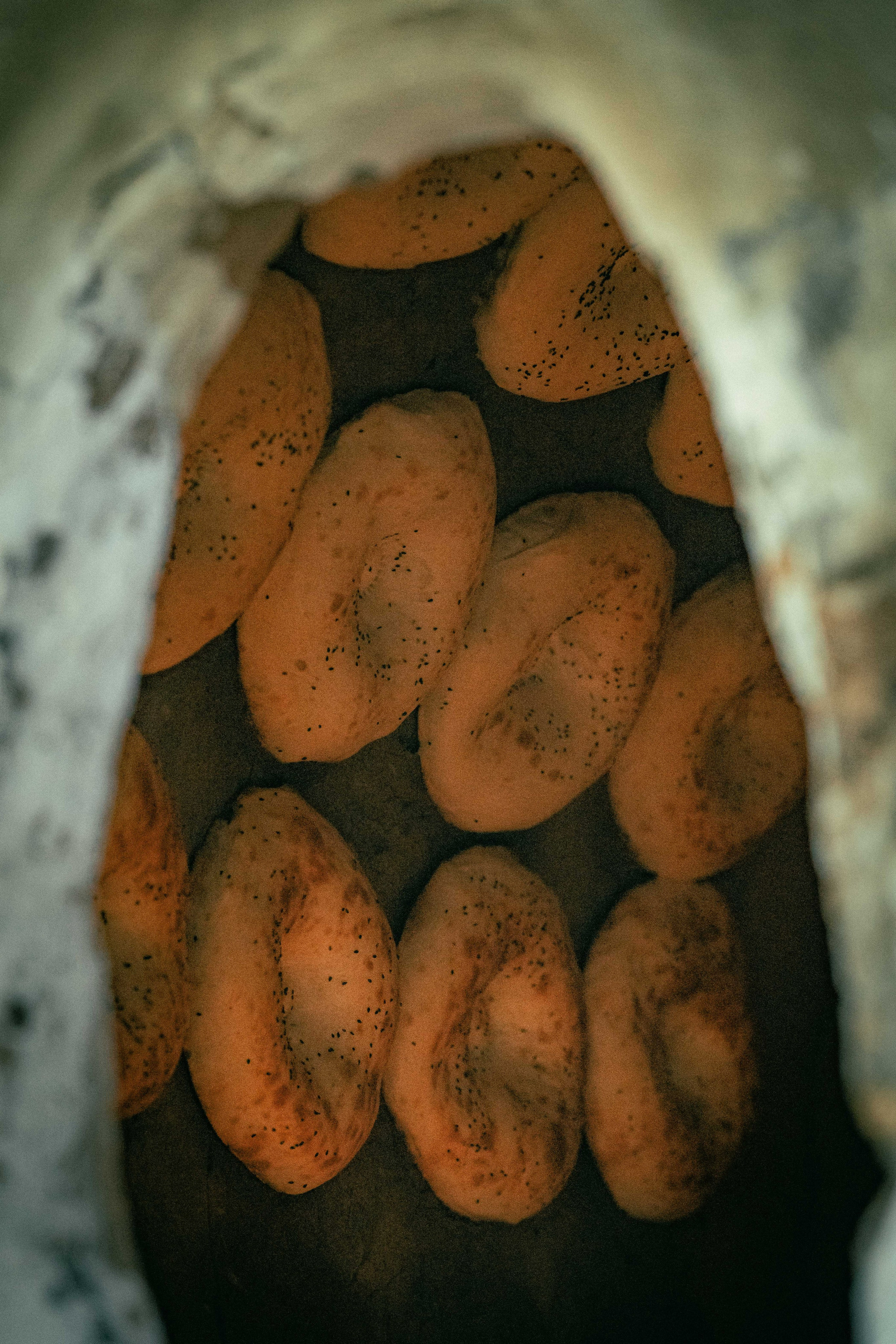 Узбекские лепешки. Георгий Намазов | Фотограф в Ташкенте