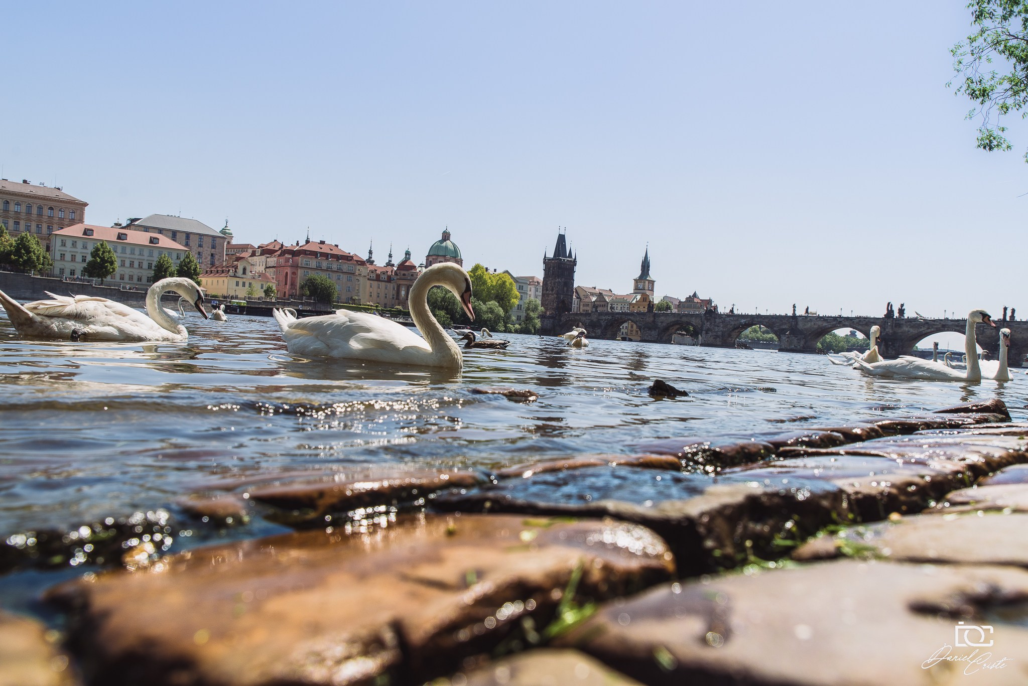 Fotografie urbana. Daniel Criste Fotograf