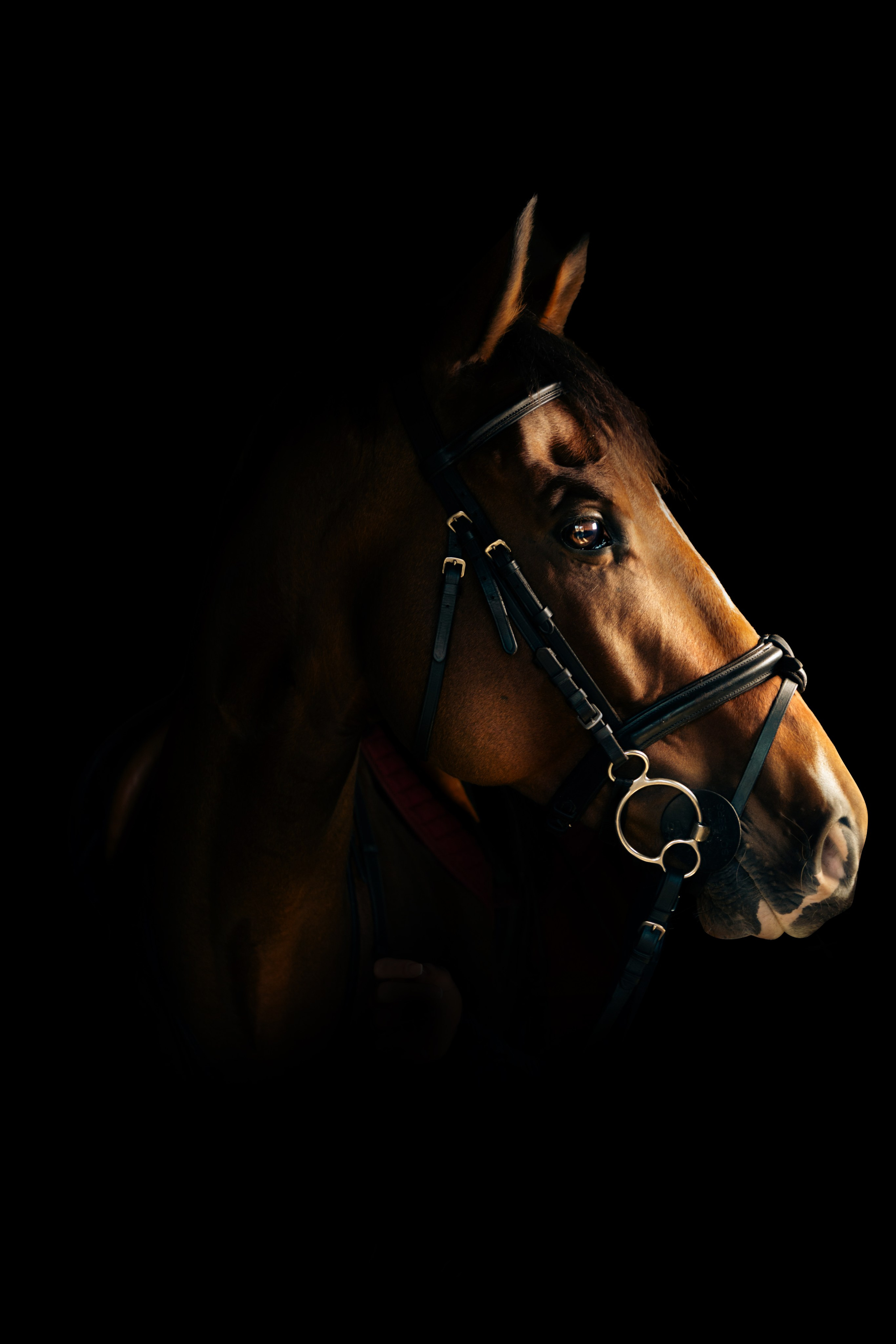 Photography & Film South Africa