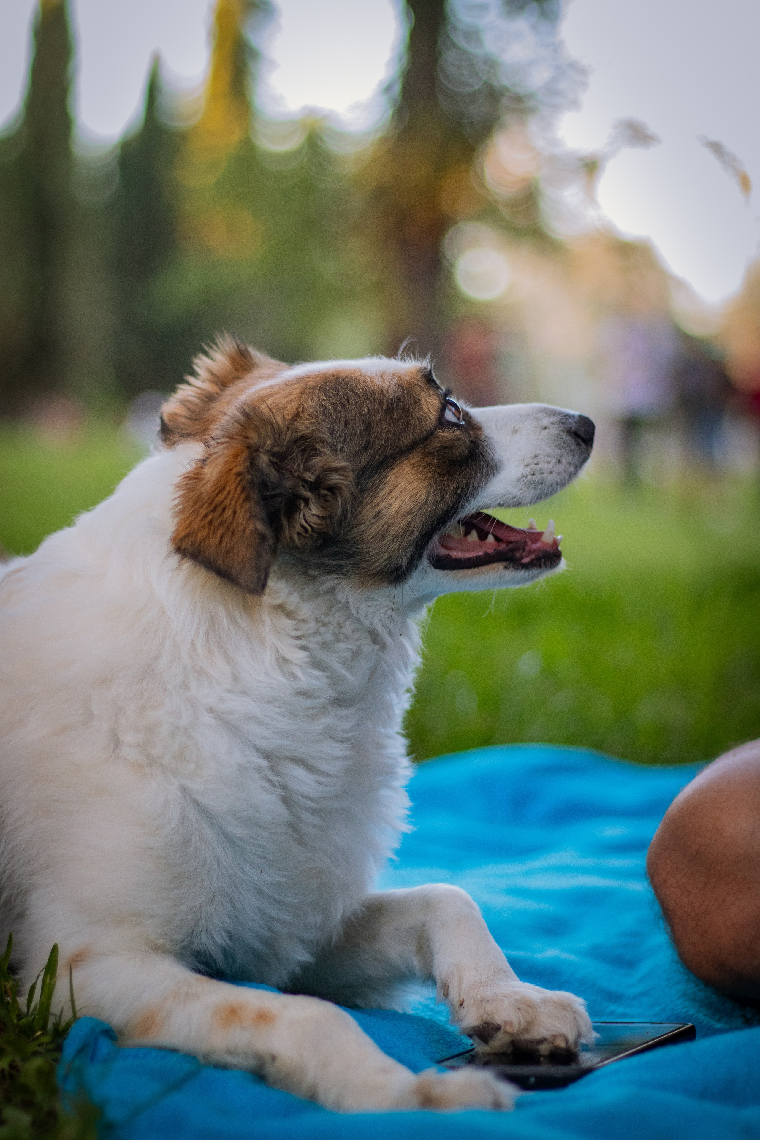 Julian y Larita. Fotógrafo en Mendoza Alexander Safonov